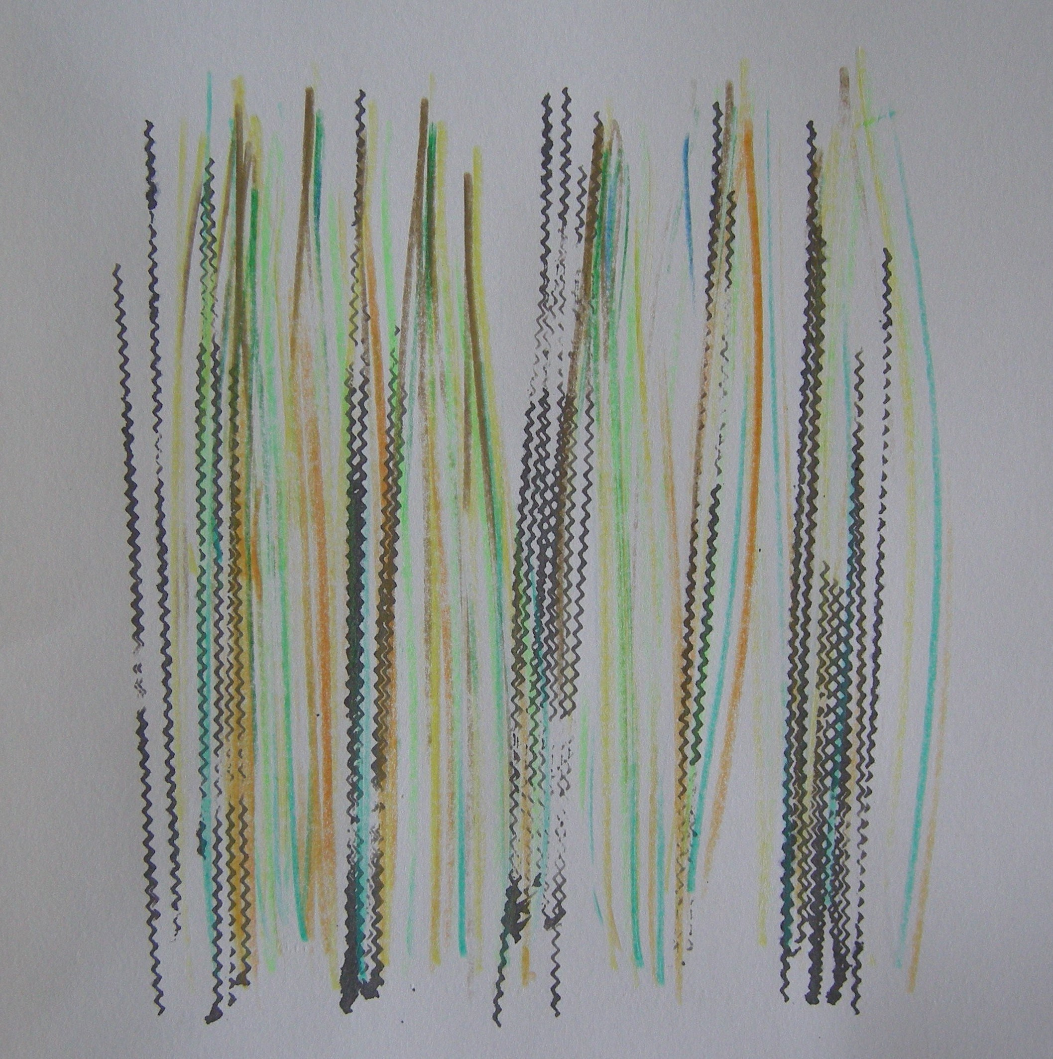 O.T. 2024 - 30x30