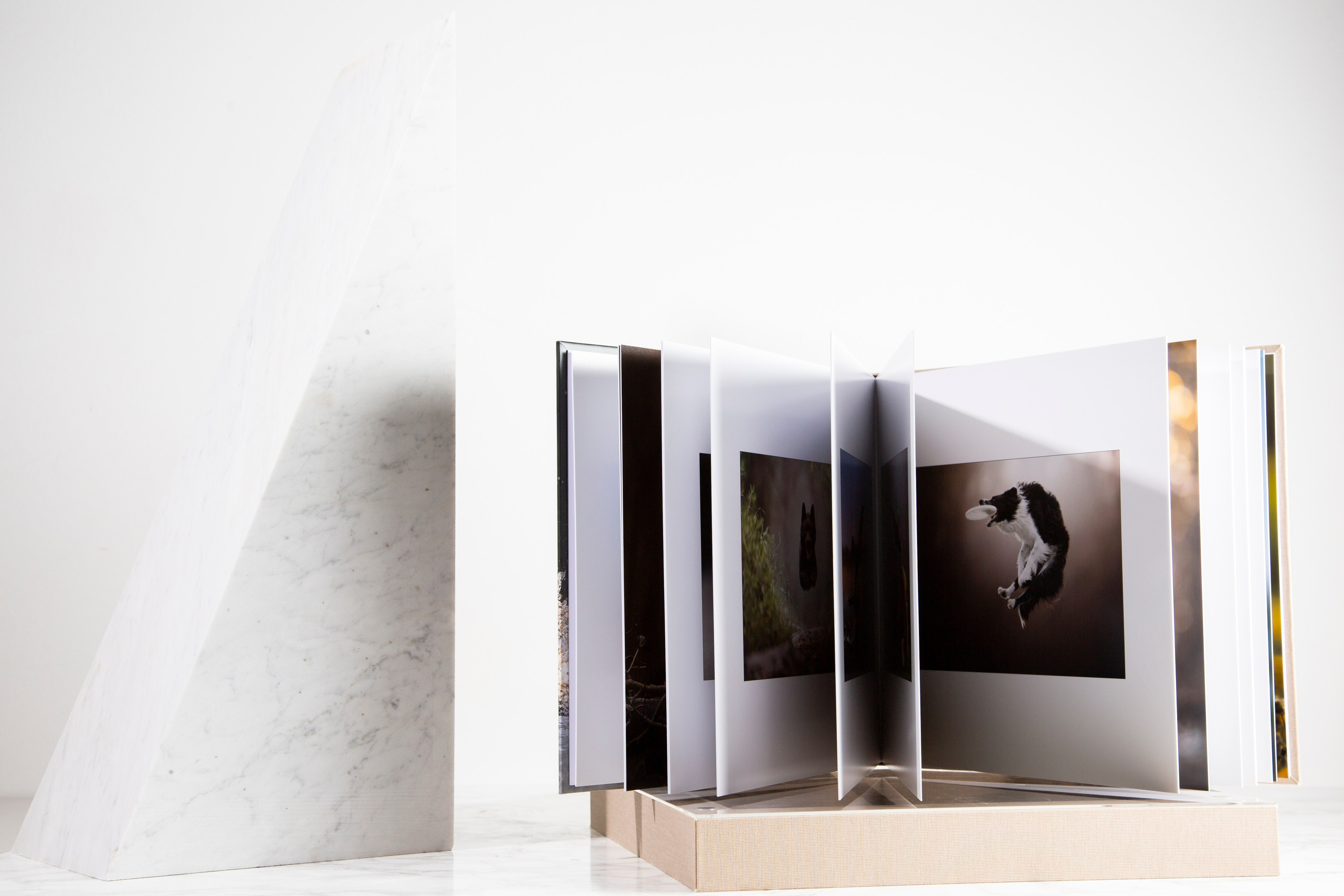 Gobook. Fotografo di matrimonio ed eventi ad ariano irpino