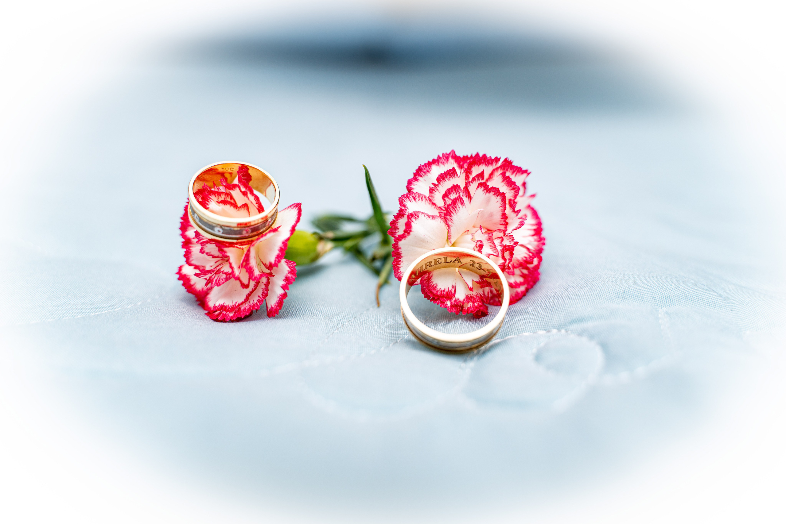 Fotograf Profesionist si Videomaker