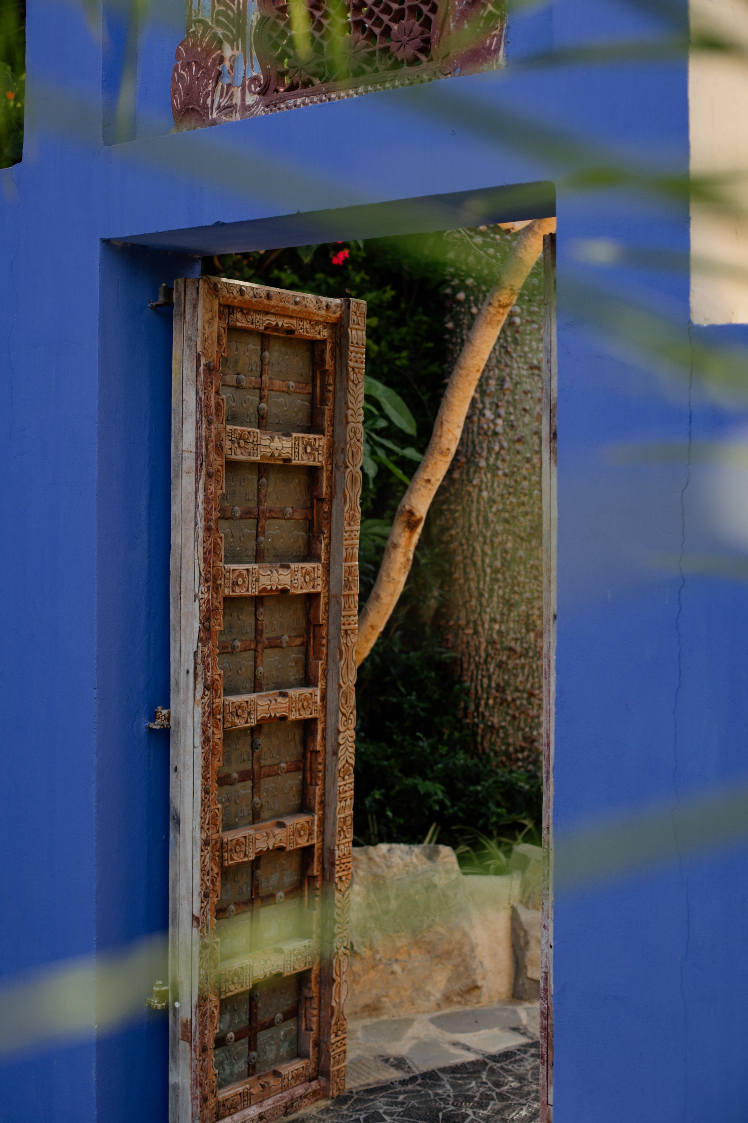 Payabl. Summer Party. Family and business portrait’s photographer in Cyprus