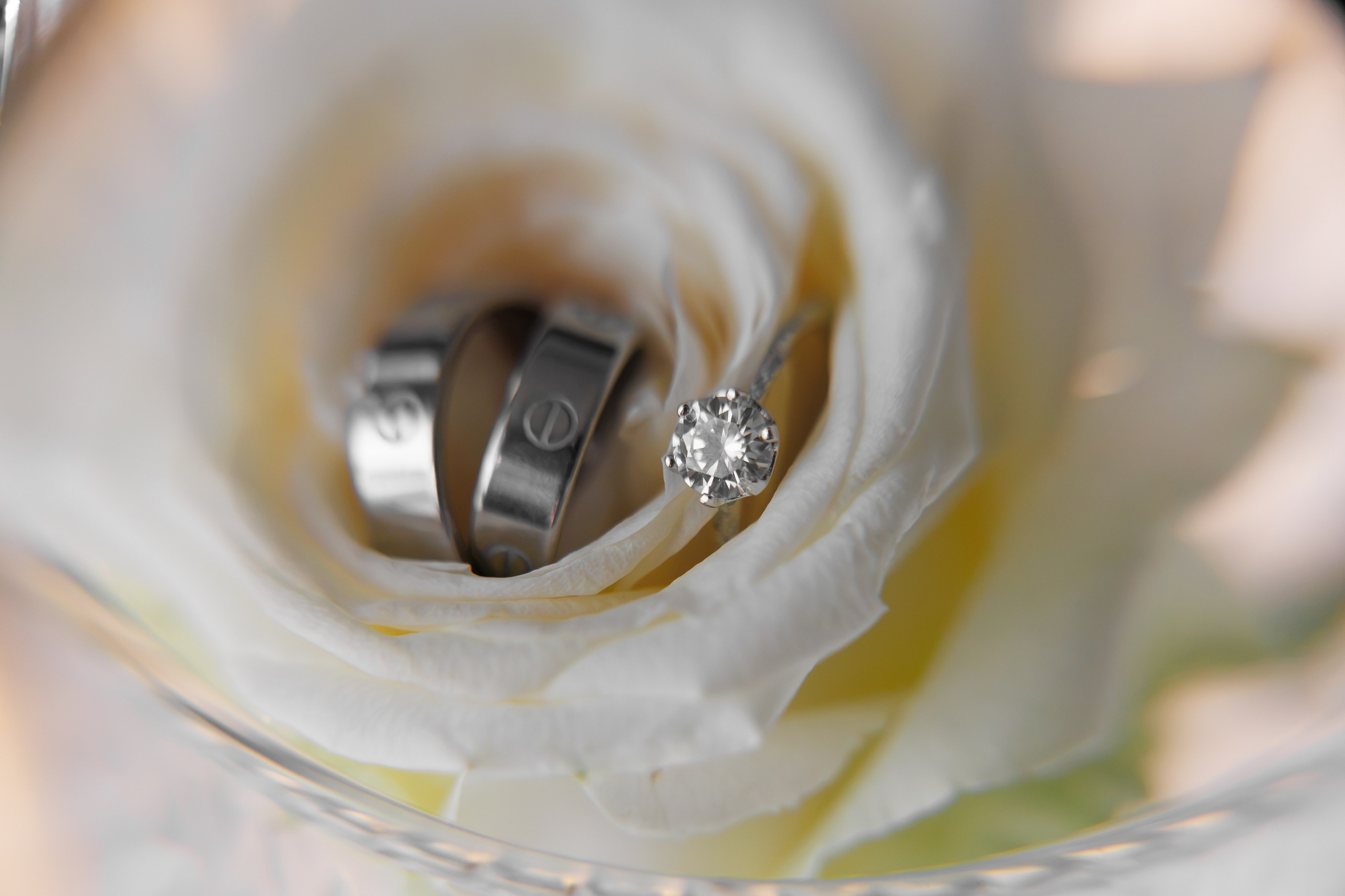 Love is…. Фотограф Ирина Йотова