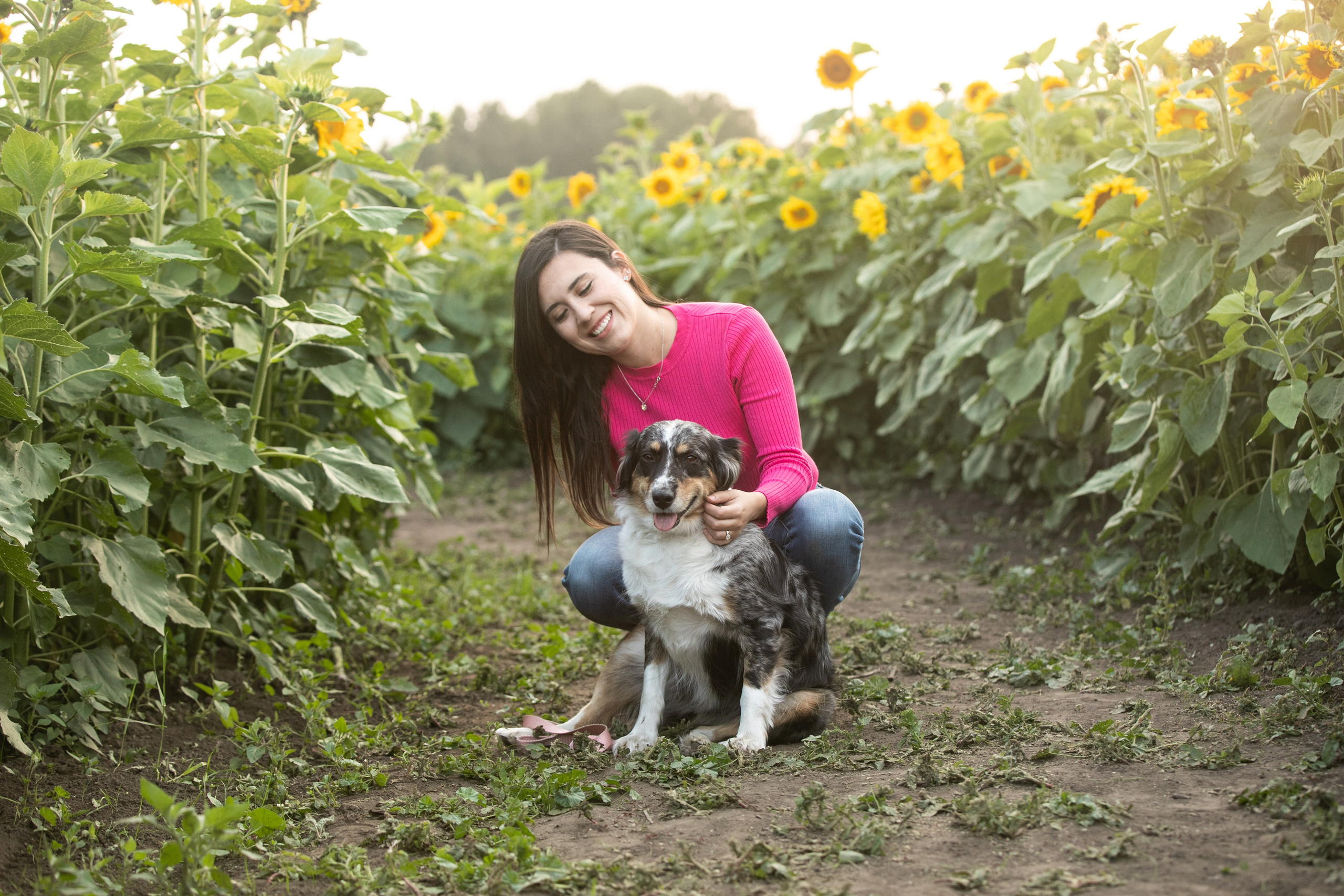 Bowden Sunmaze Ana Pau. Fotografía accesible en Calgary