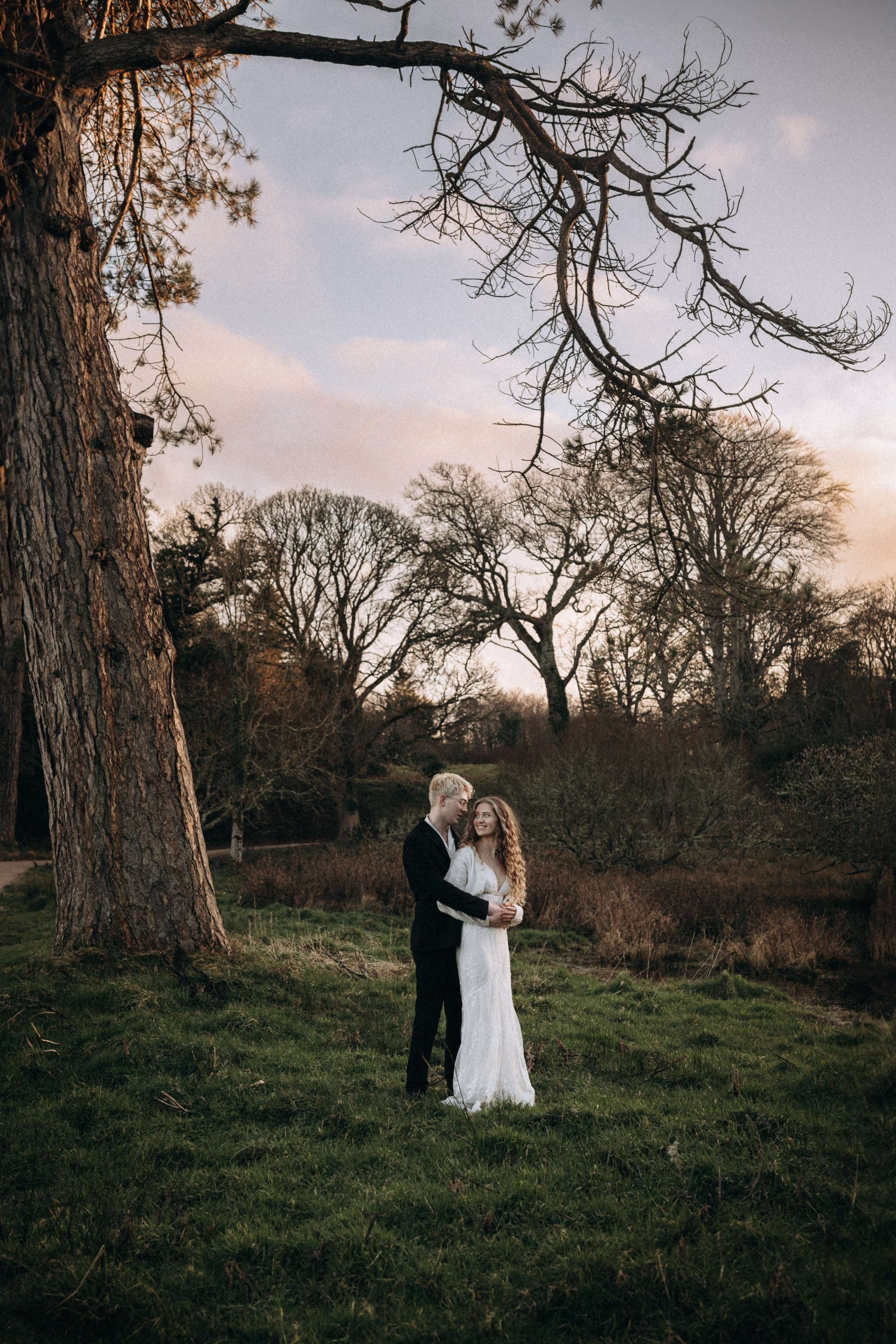 pre wedding photo of the couple under the tree in donegal