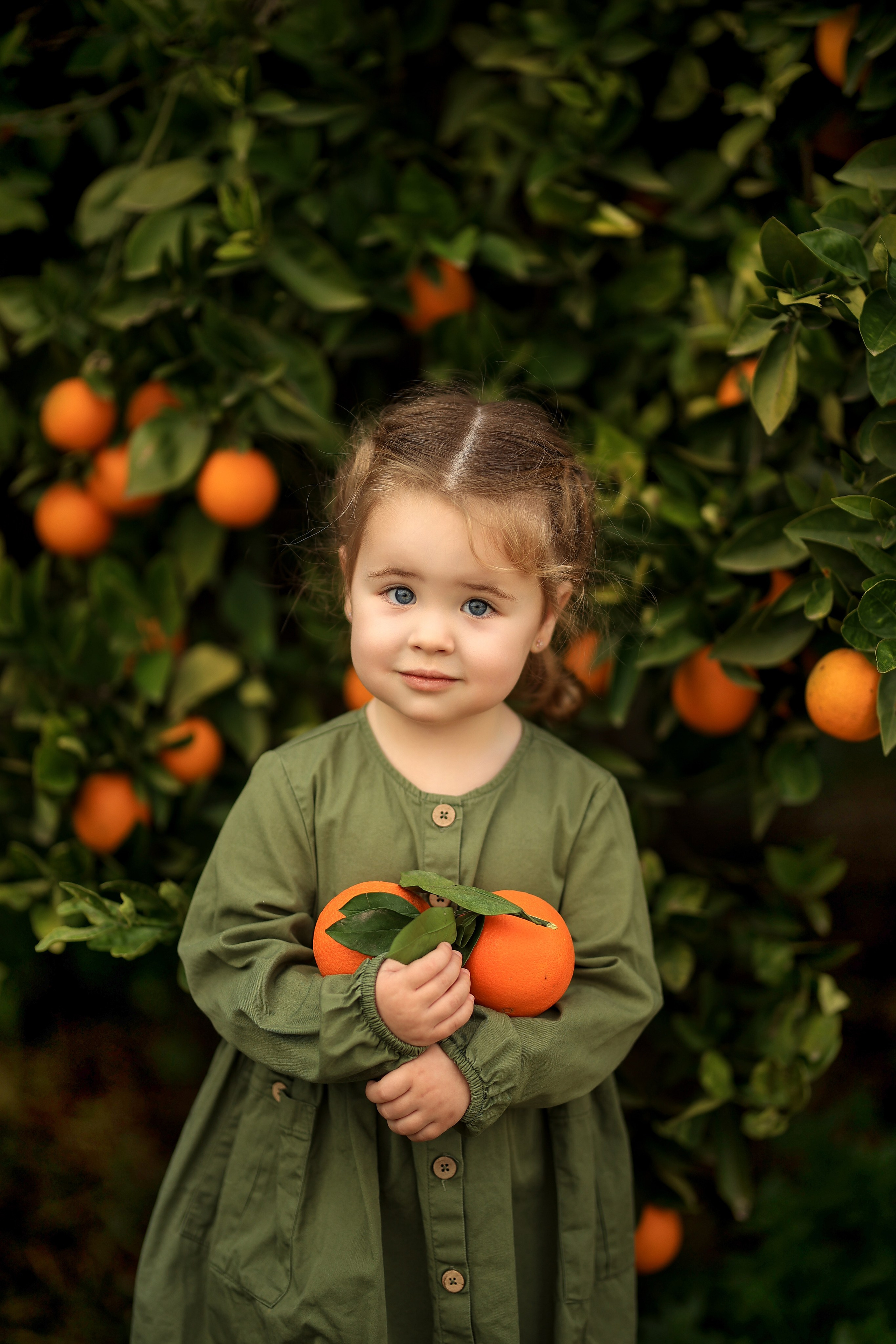 Photoshooting in orange garden. Photographer in Turkey, Antalya, Kemer, Belek, Side, Kas, Fethiye