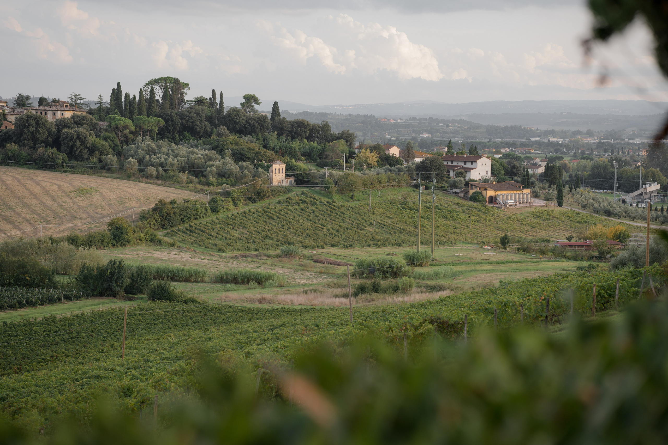 Dom&Ally. Весільний фотограф Вікторія Саврук