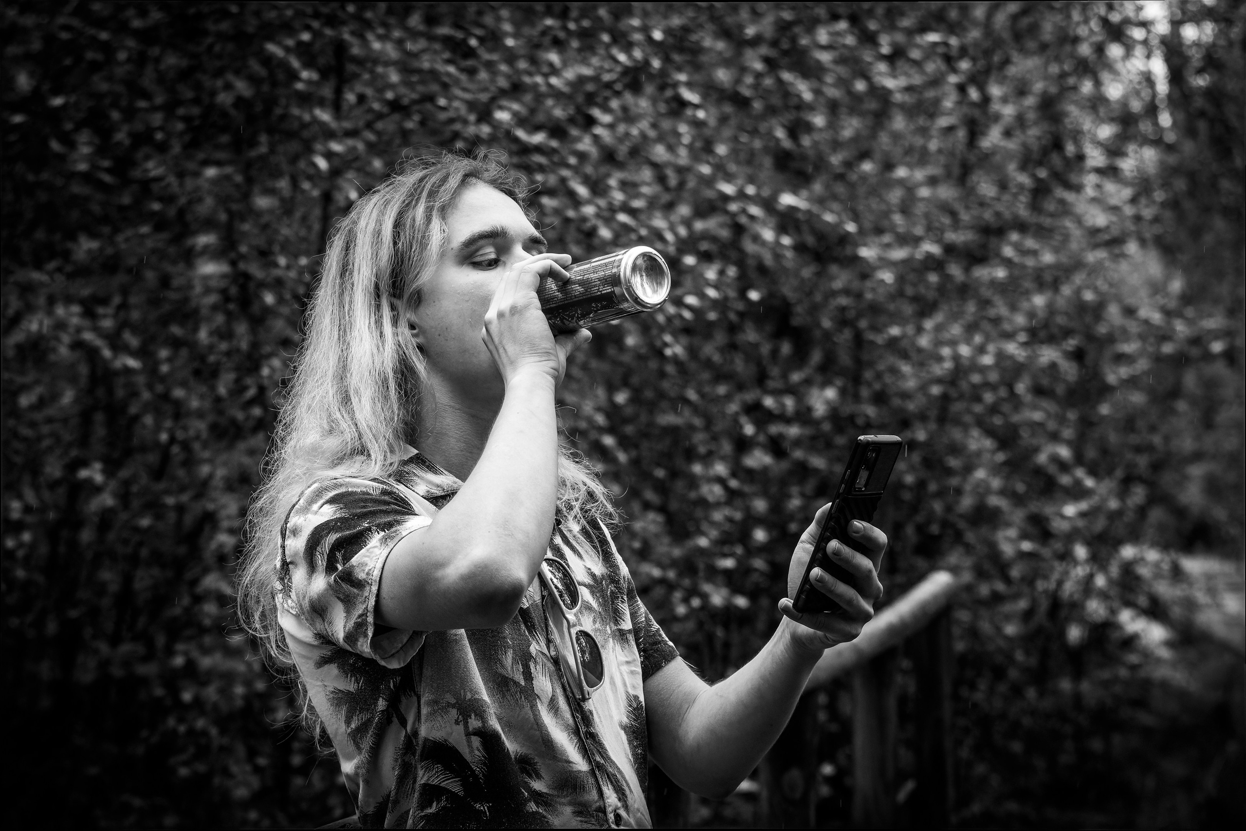 Mets, vihm ja jahedus (Dimitry). Nebula 25 — Fotod teie hingele