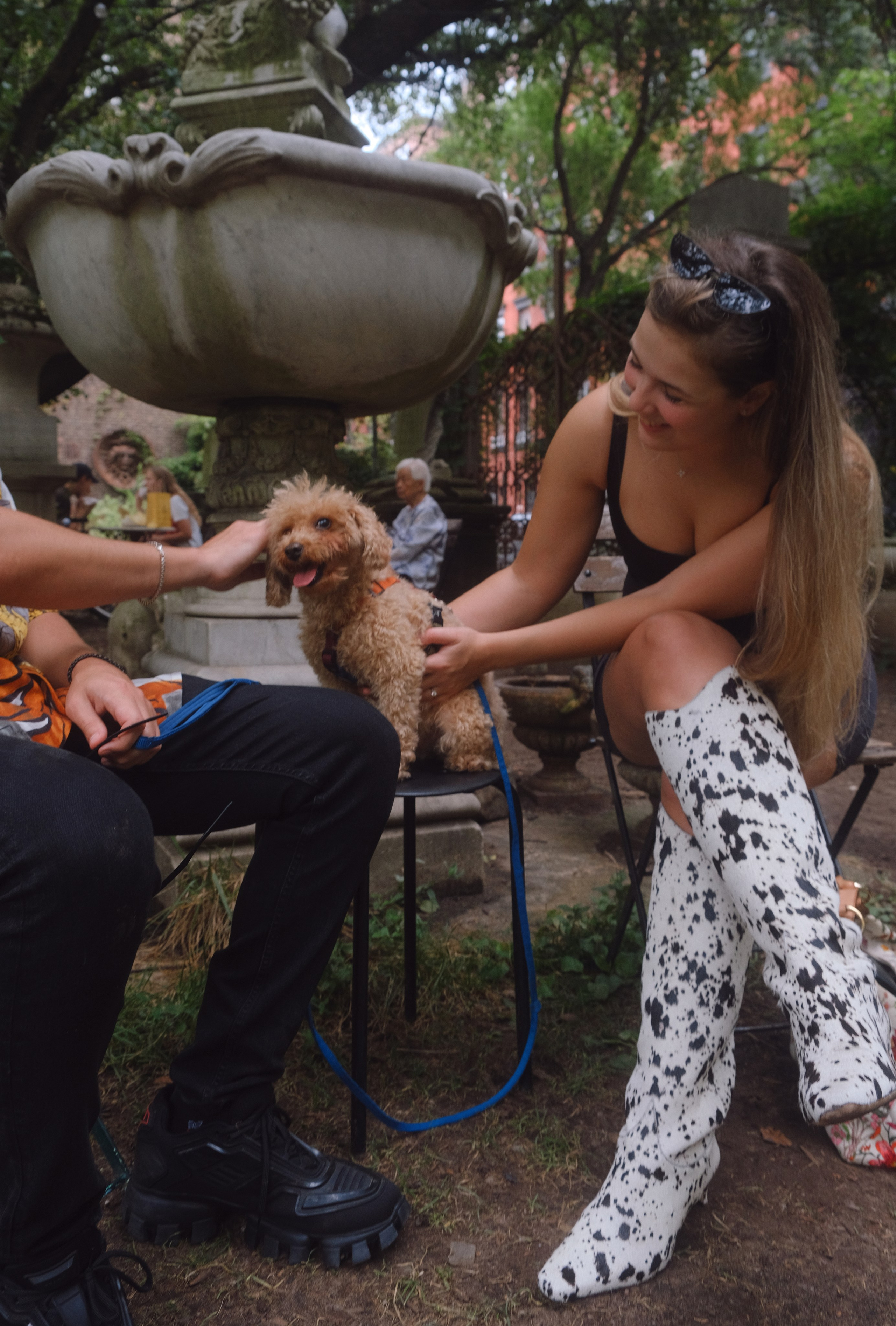 Annie, Egor & Locky. New York Photographer Sveta Zemskova, NYC Photo