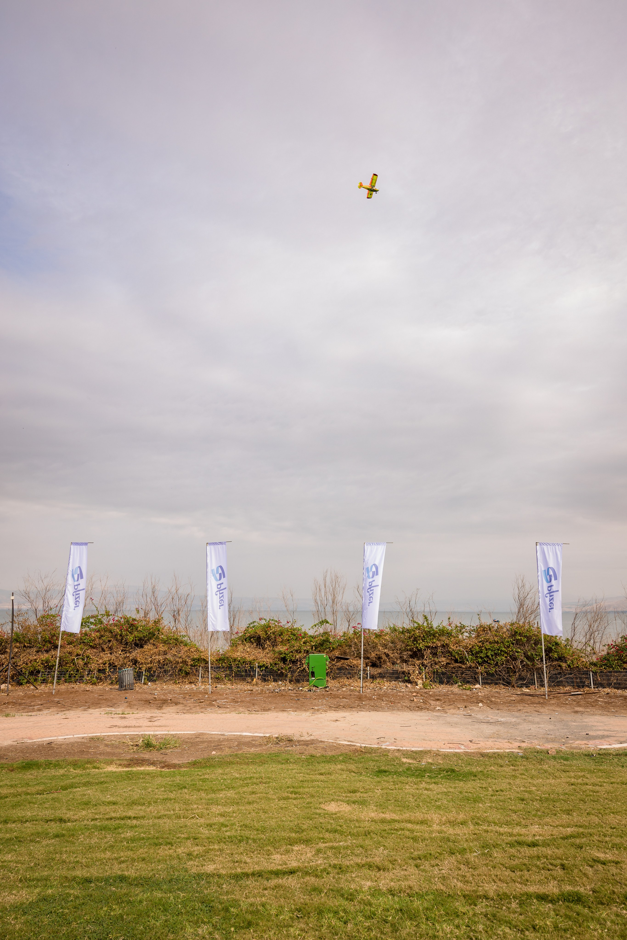 Pfizer. AMIR BUCHNIK PHOTOGRAPHER