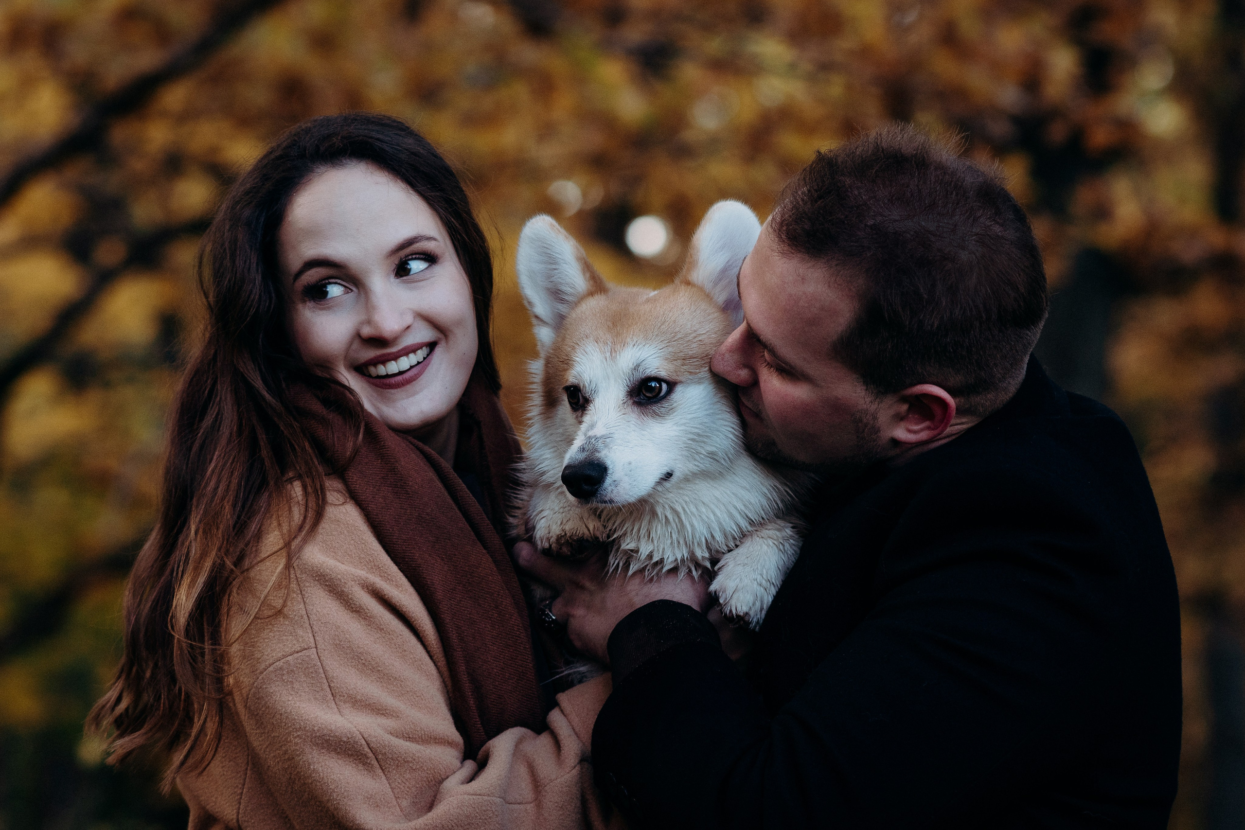 Liisa, Alexander & Marsel. Фотограф-анималист в Таллинне, Катя Лайсаар