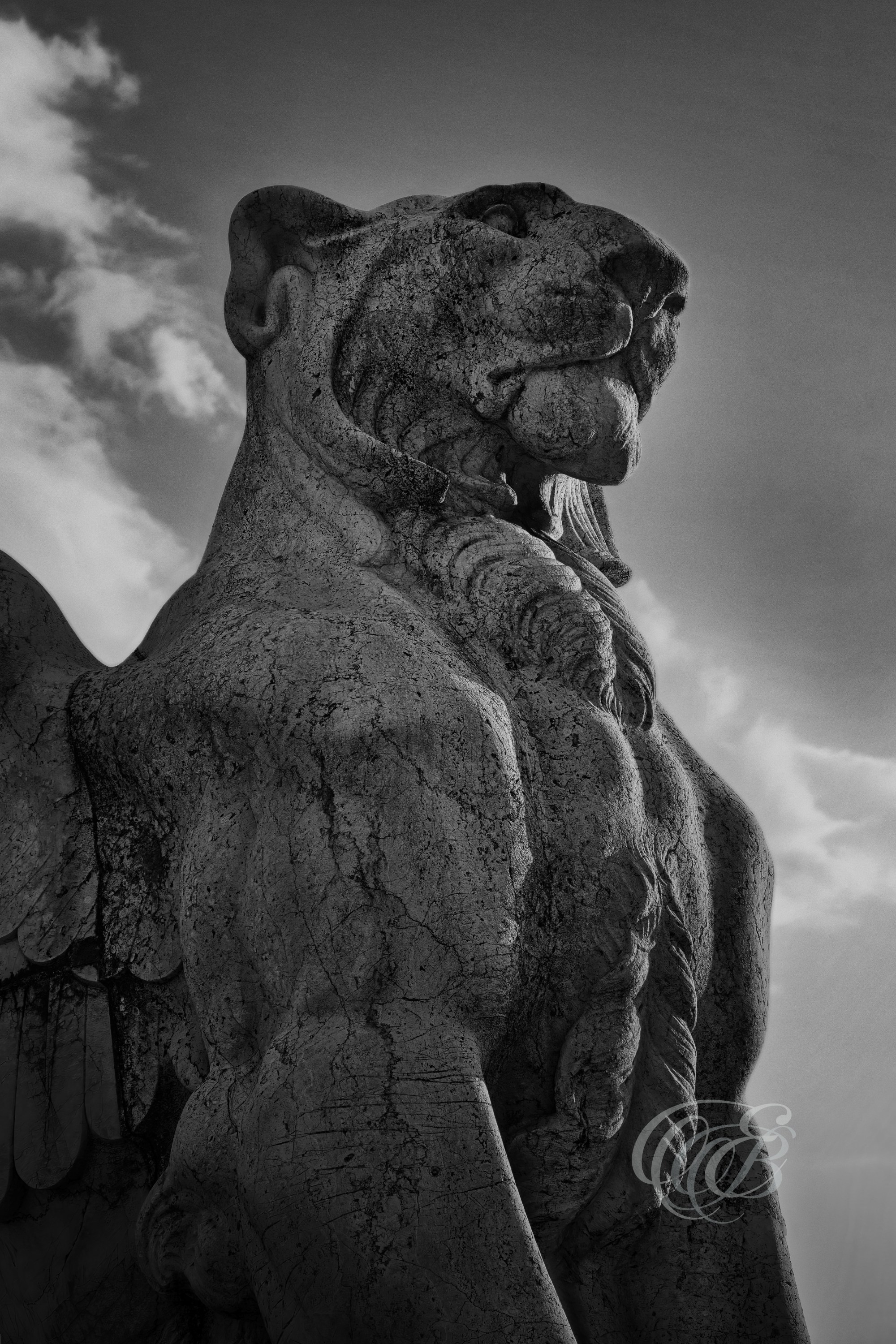 Rome Italy – Winged lion sculptural detail from the Victor Emmanuel II Monument, monumental allegorical stone carving rendered in black and white fine art photography. Rome, Italy – photography by Eduardo Bartoli.