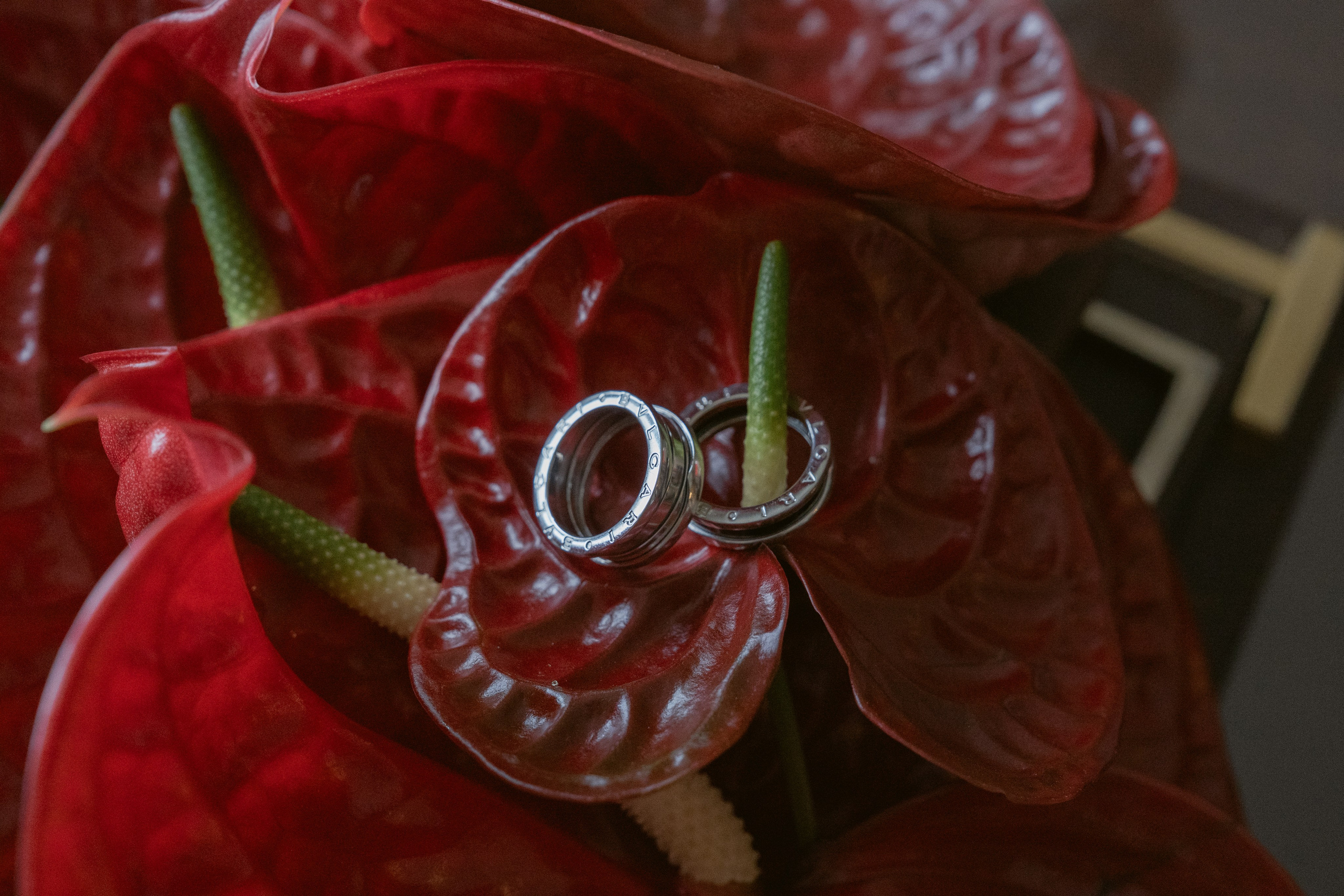 KATE AND CARLO_CASALE MONFERATO. PHOTOGRAPHER IN ITALY