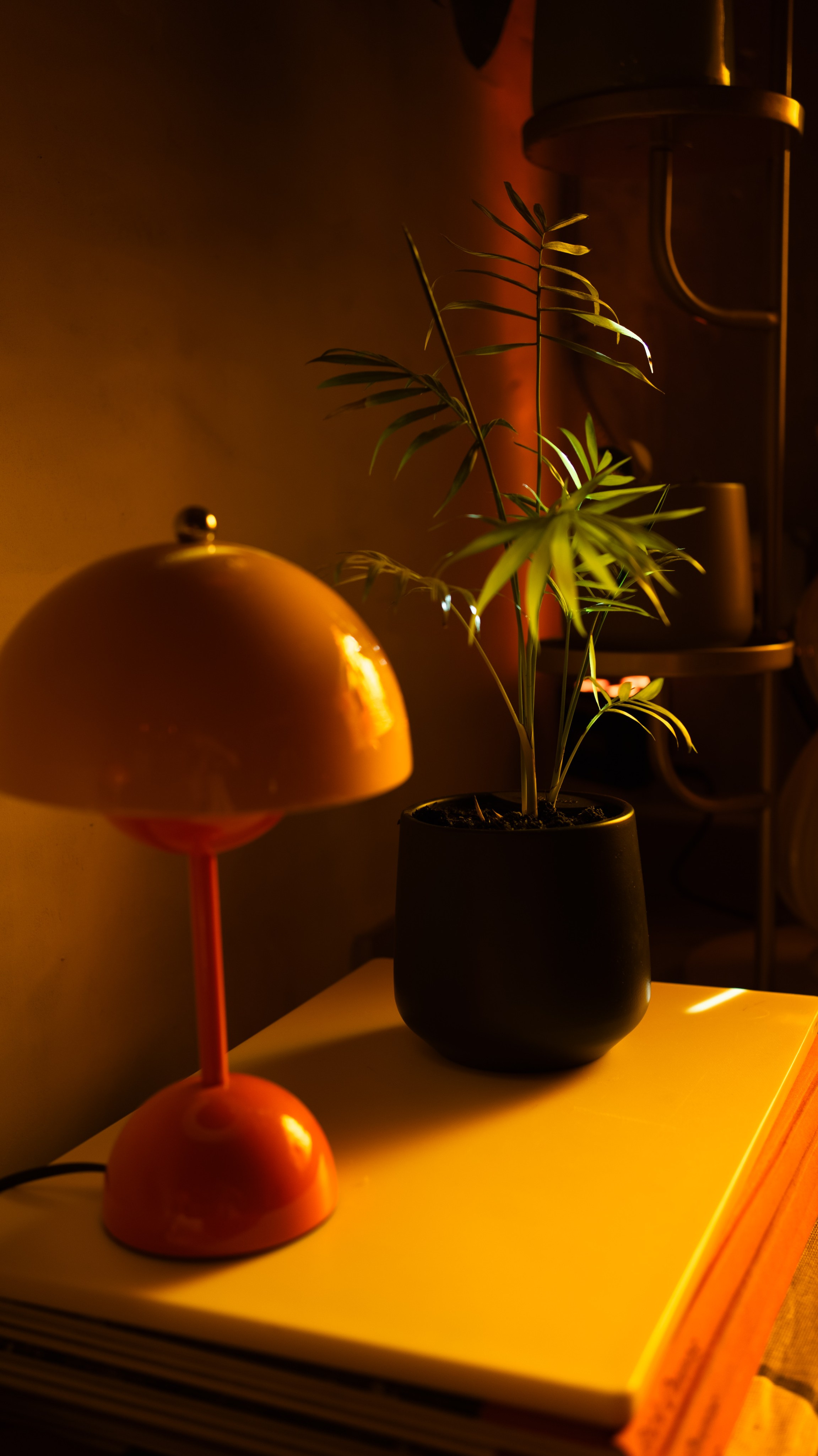 Events. Tatiana Ketova