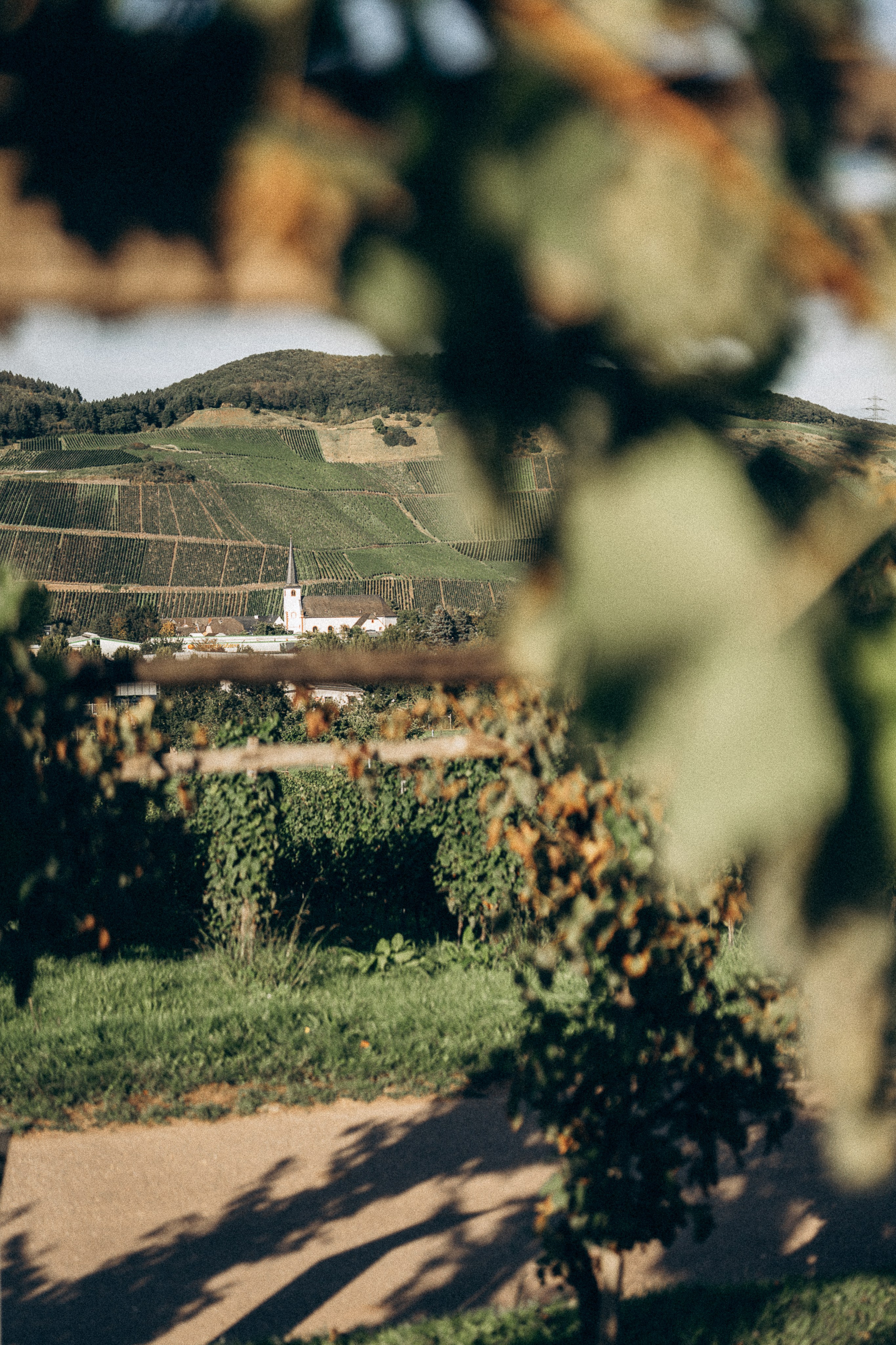 Summer picnic. Family, conceptual women portrait photograher in Geneva, Switzerland