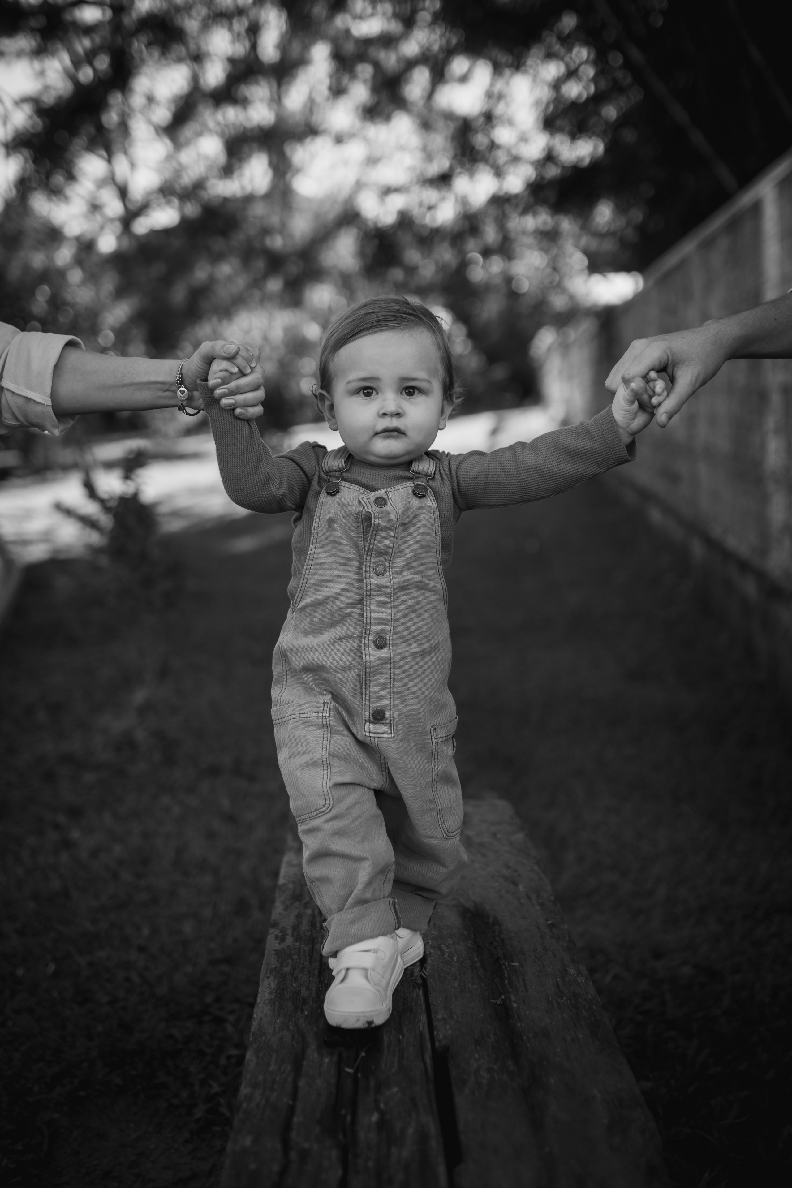 BENTO | um ano. Maria Quadros Fotografia