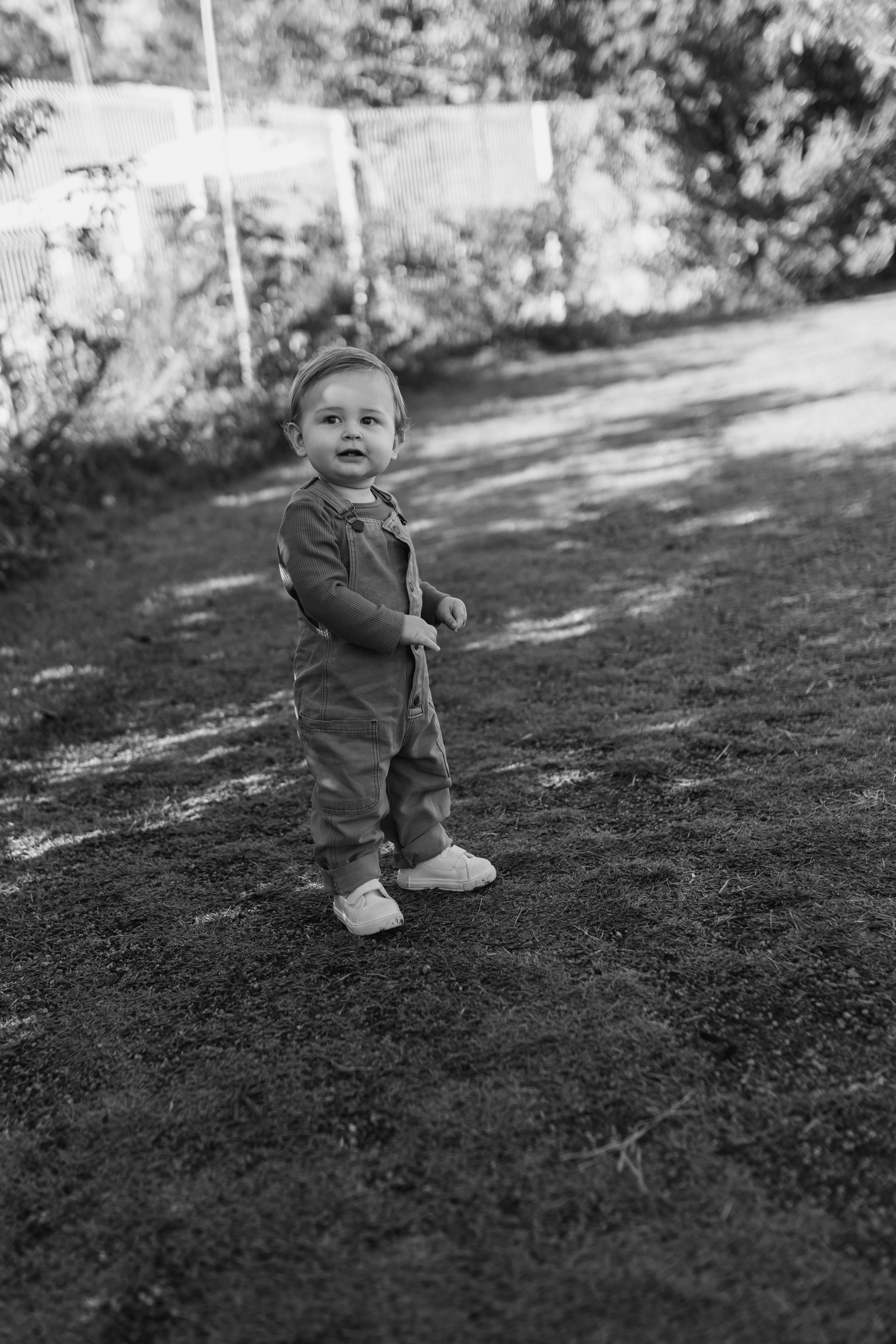 BENTO | um ano. Maria Quadros Fotografia