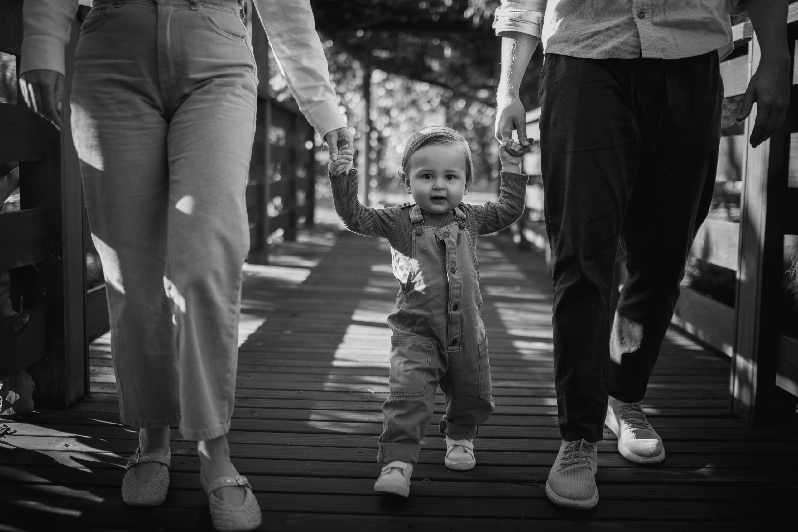 BENTO | um ano. Maria Quadros Fotografia