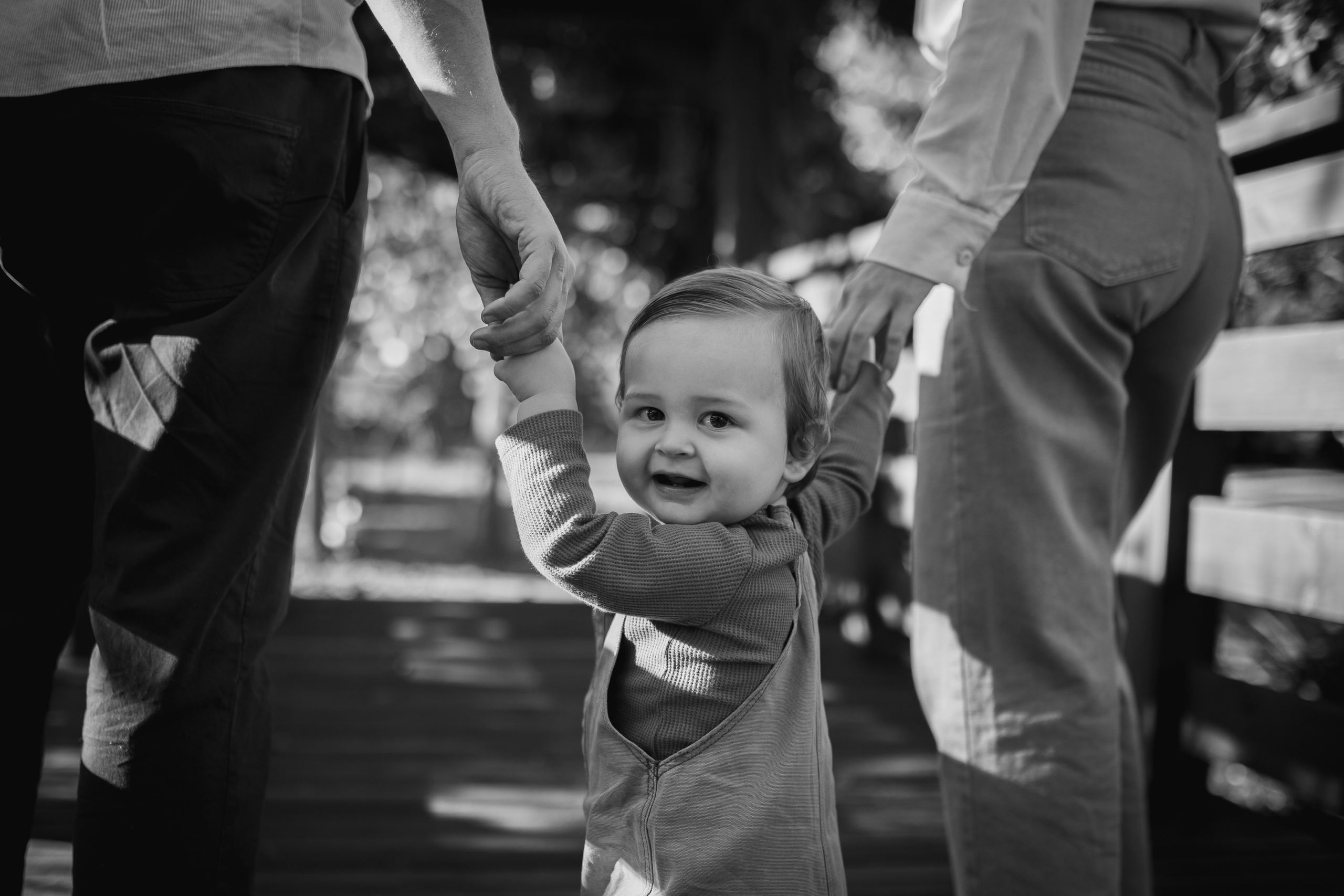 BENTO | um ano. Maria Quadros Fotografia