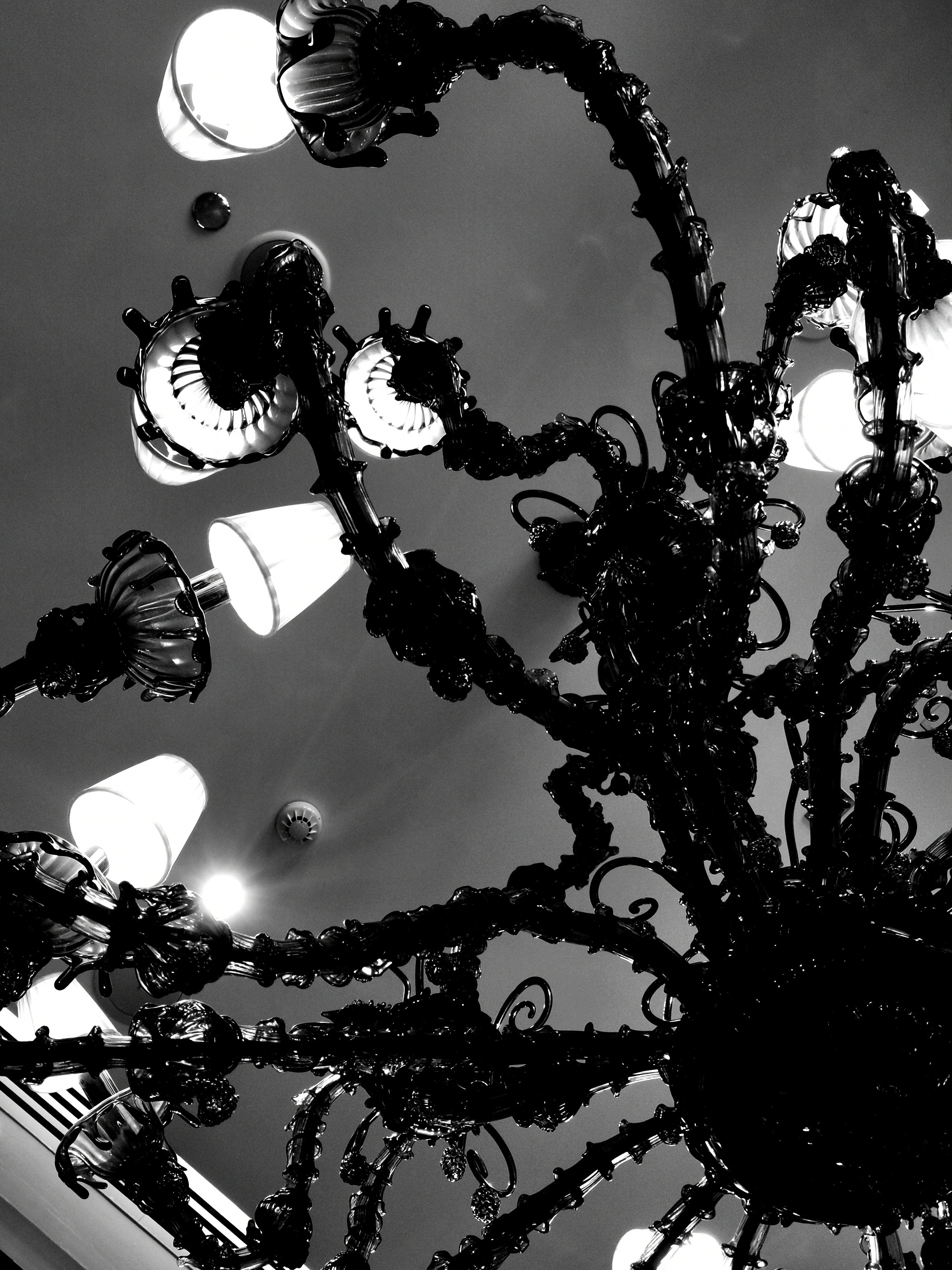 Impact Photo Collecton. Professional Artist, teacher of art, Artistic Photographer In Dubai (U