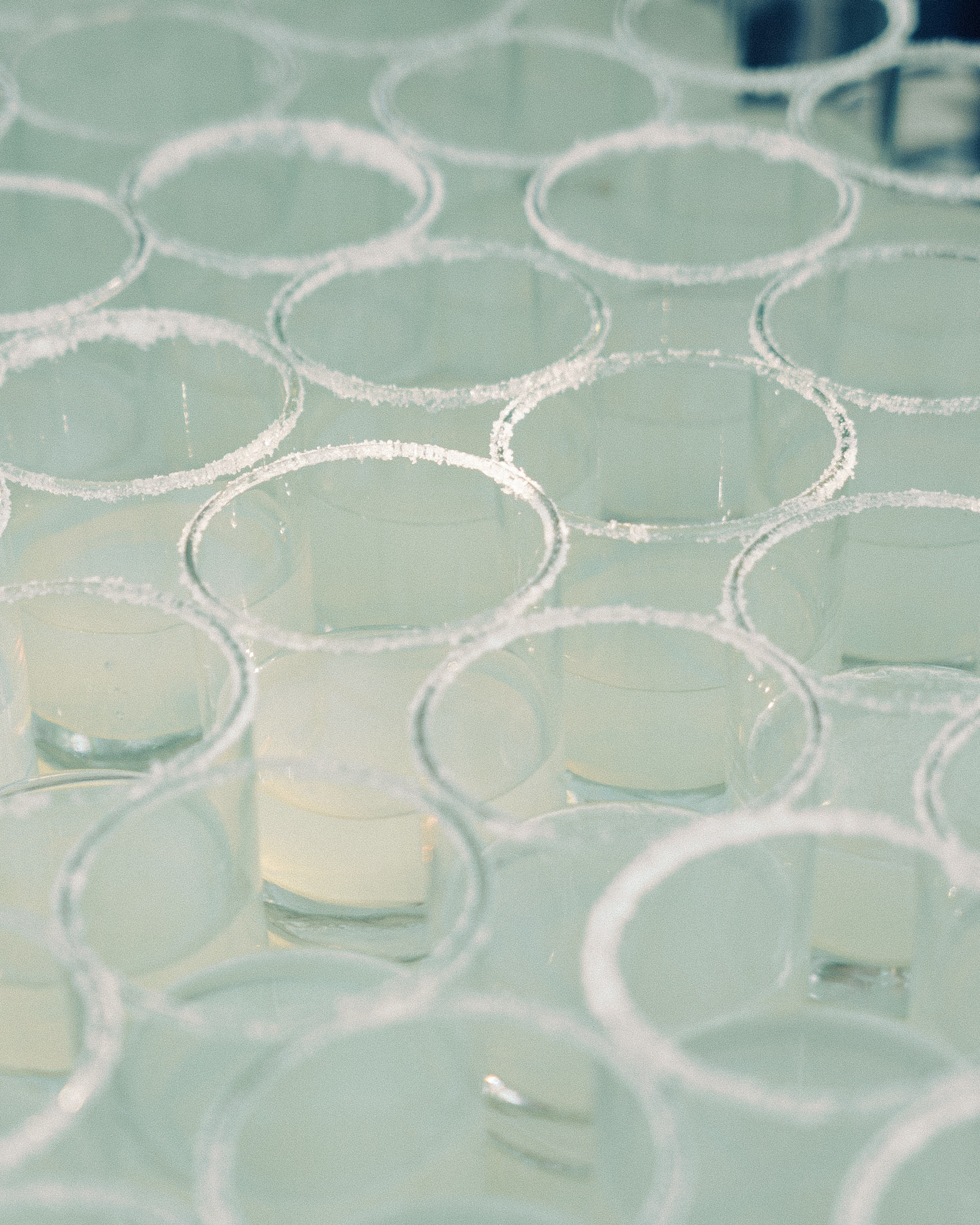 Wedding in Palo Maria. Sayulita Wedding Photographer, Puerto Vallarta, Cabo