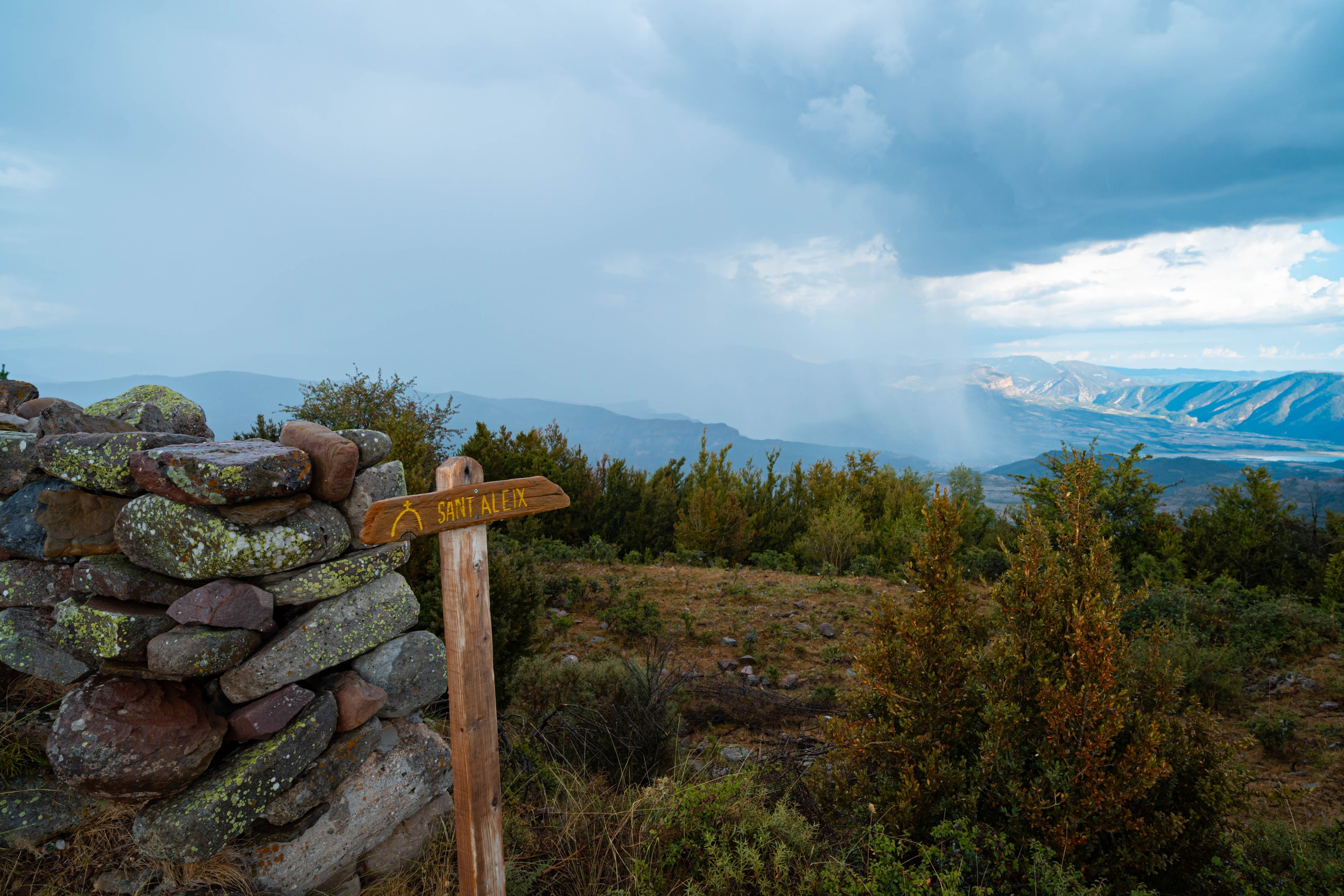Lila. Alba del Norte Studio