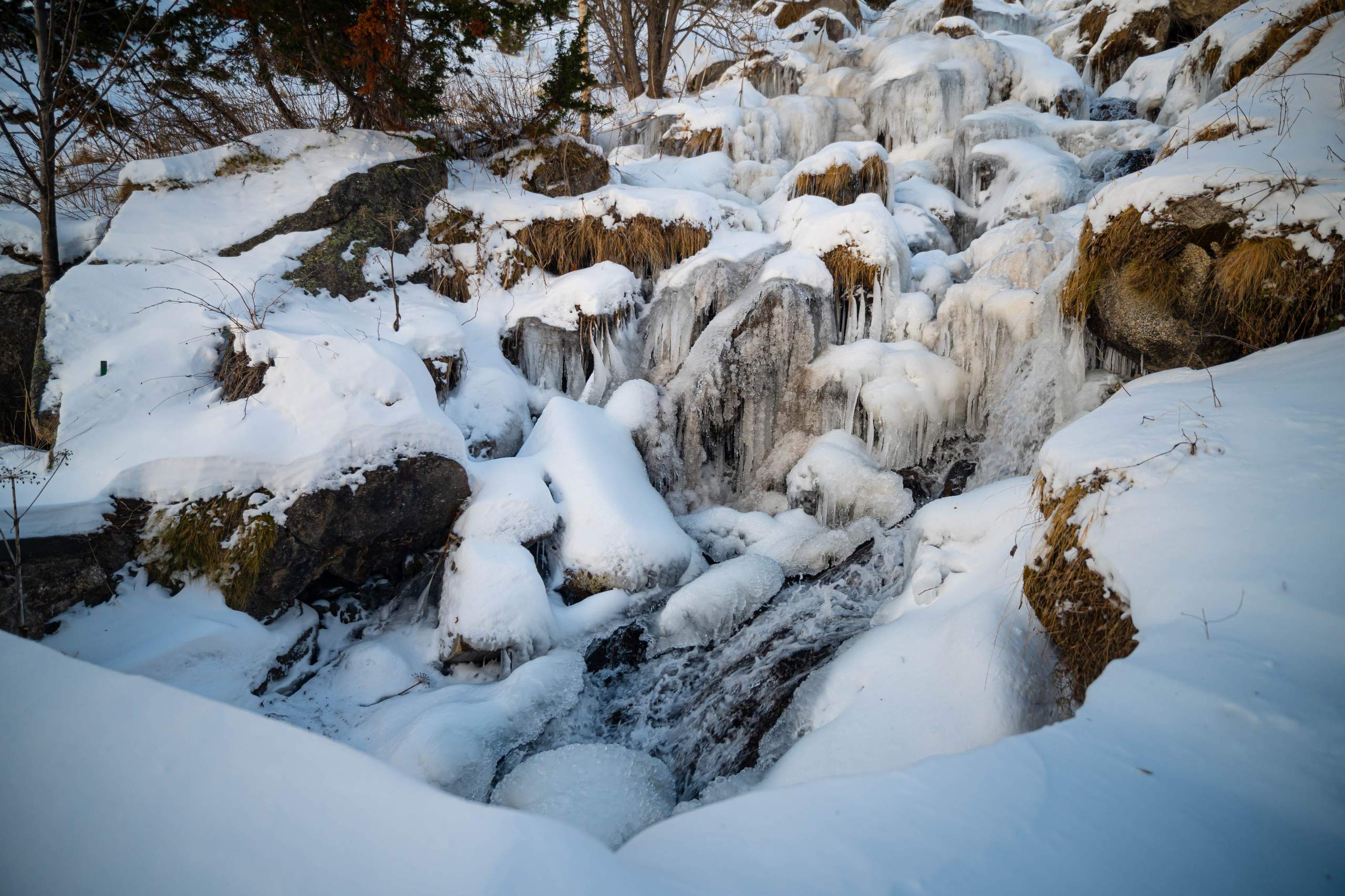 Vall Fosca, Invierno 2023. Alba del Norte Studio