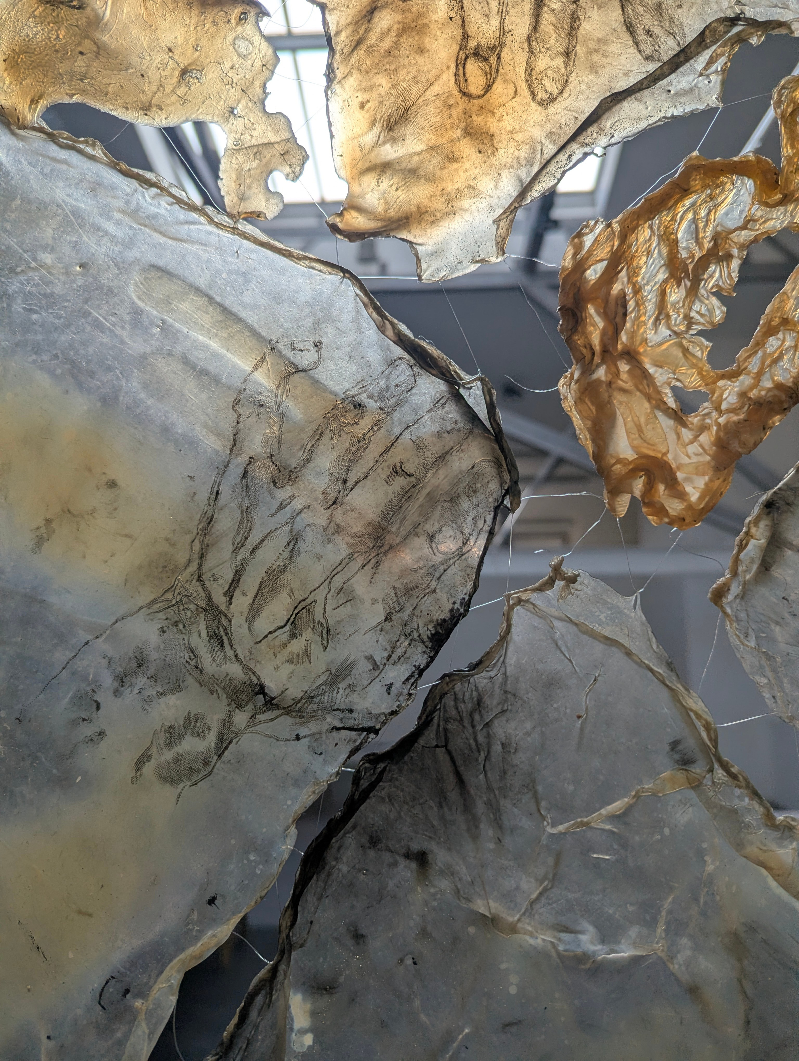 Internal chaos. Angelina Sorokopud. Artist in Strasbourg