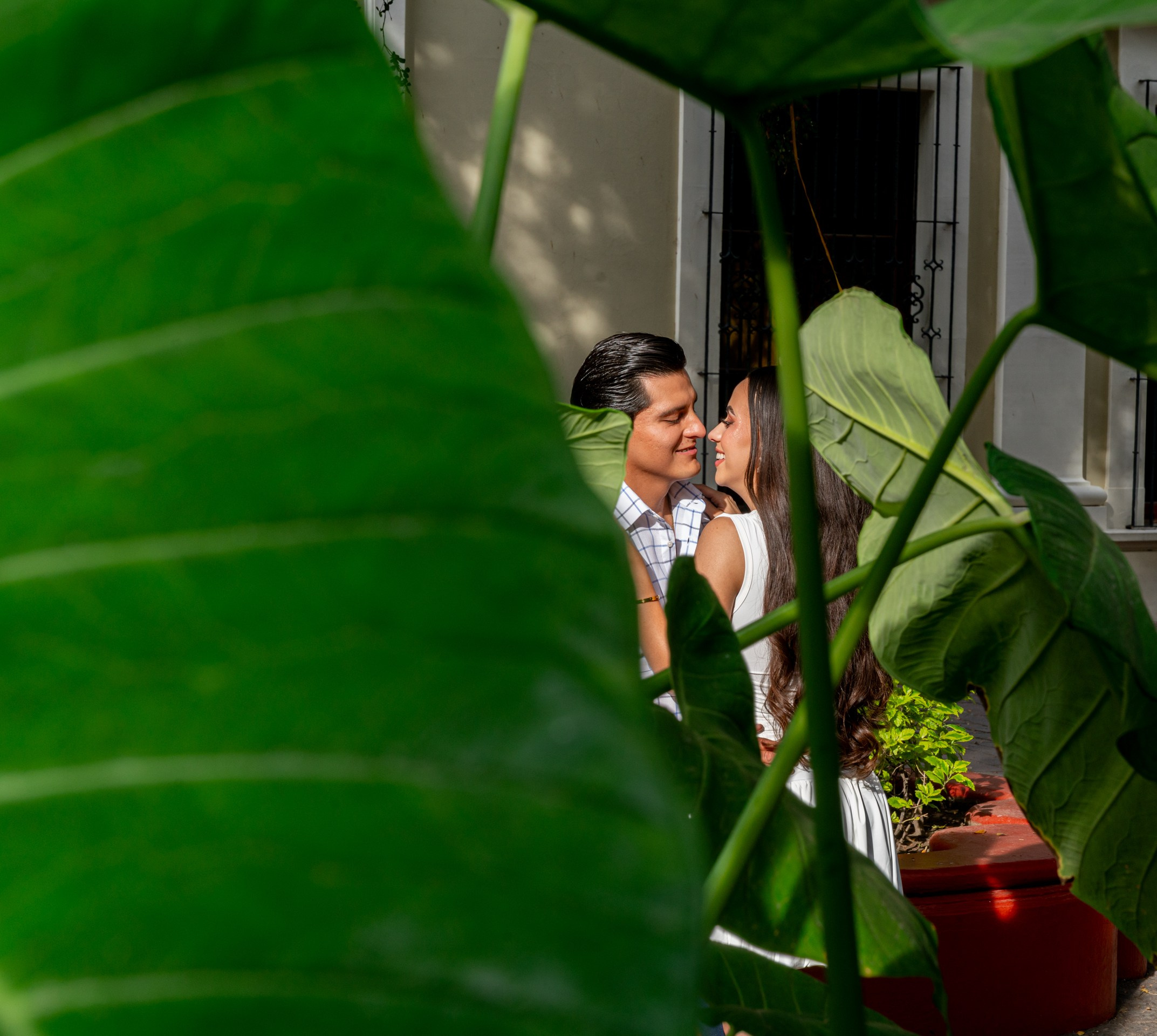 MARYFER & DANIEL | TEQUILA MEXICO. Elopement & Lifestyle Wedding Photographer