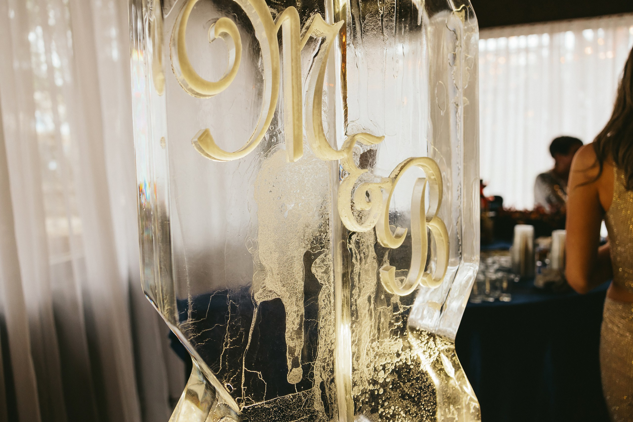 06.08.2025 Wedding. Wedding family event photographer in Chicago Nick Yushevich