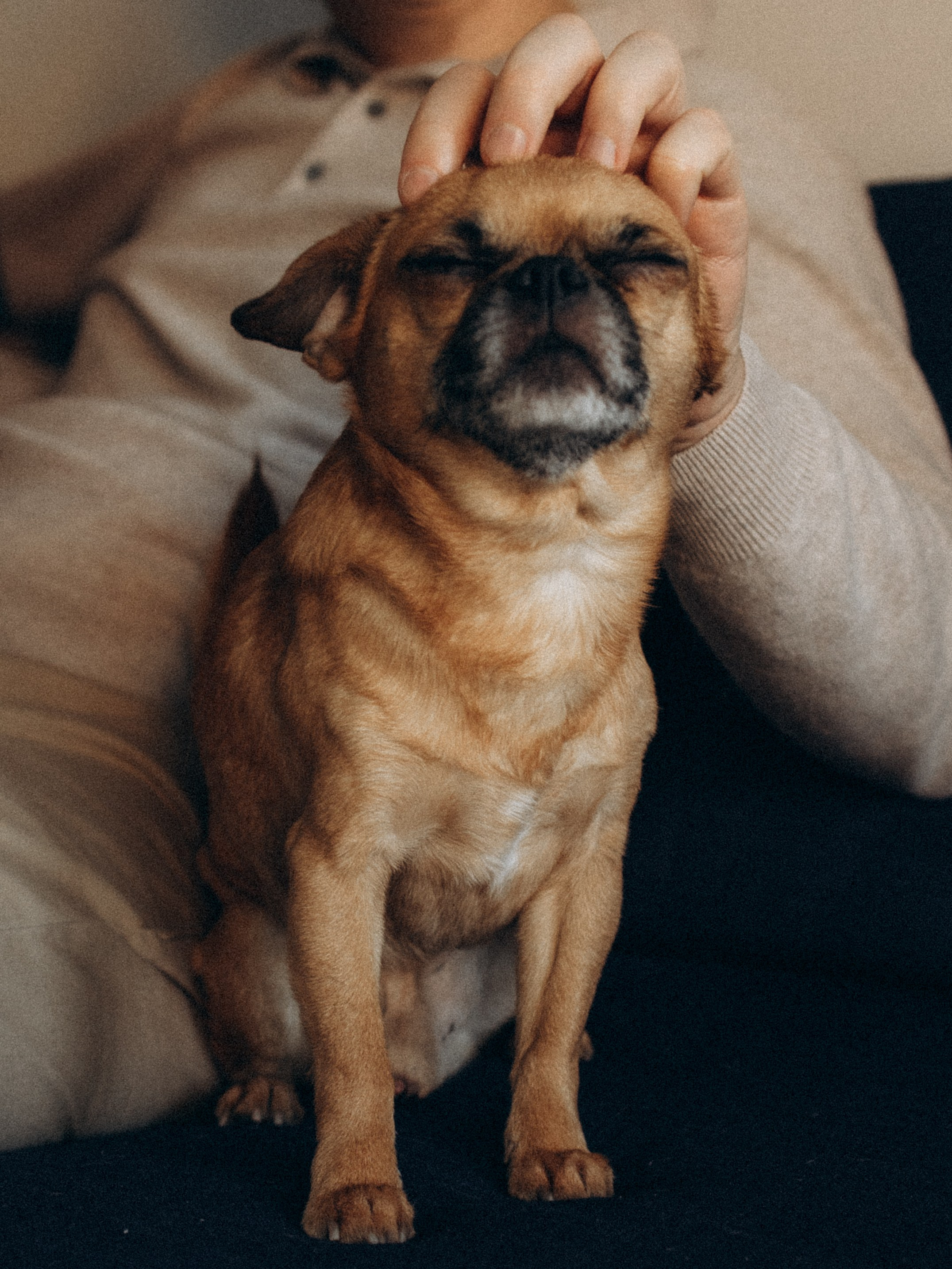 Victoria’s family. Kristina, portrait and family photographer in Helsinki