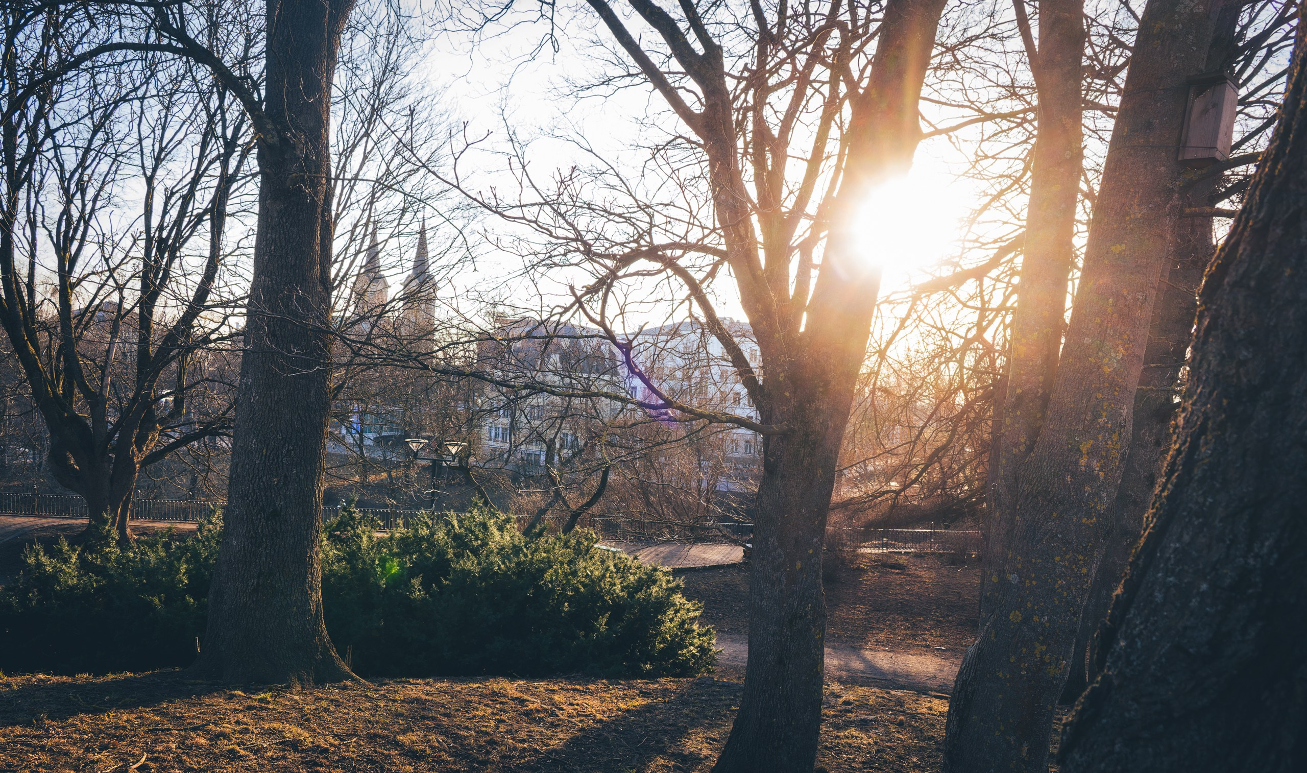 Vana-Tallinn + Gold dragon, Jalutamine (Anja K.). Nebula 25 — Fotod teie hingele
