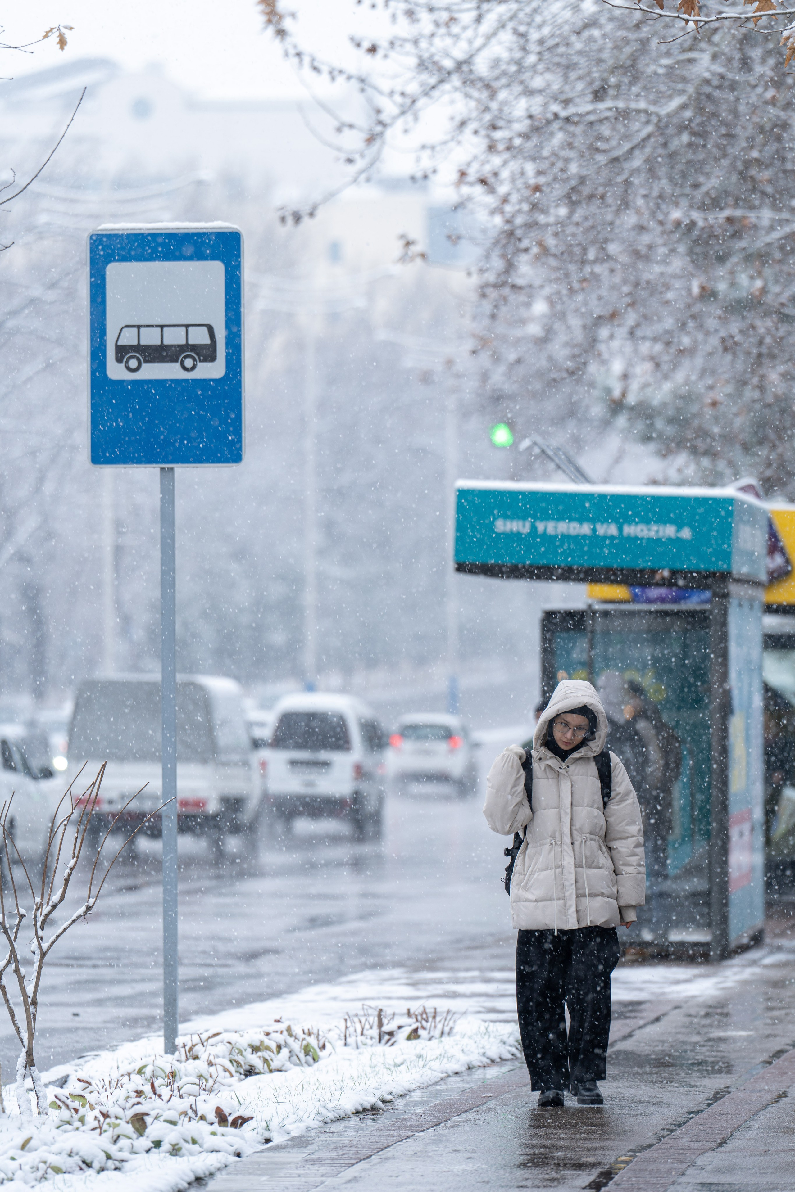 Первый снег в 2024 году. Георгий Намазов | Фотограф в Ташкенте