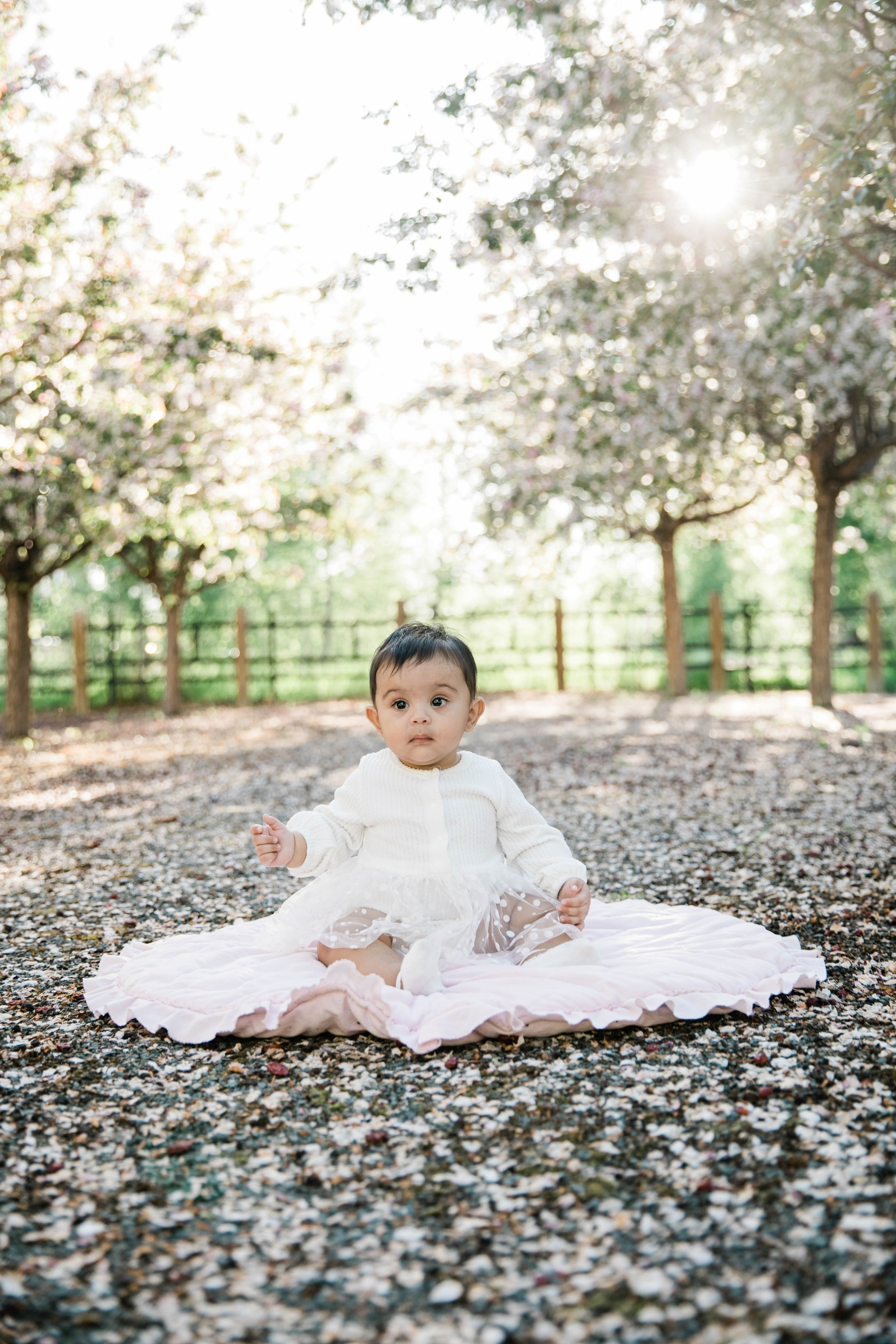 Nabeel Cherry Blossoms. Fotografía accesible en Calgary