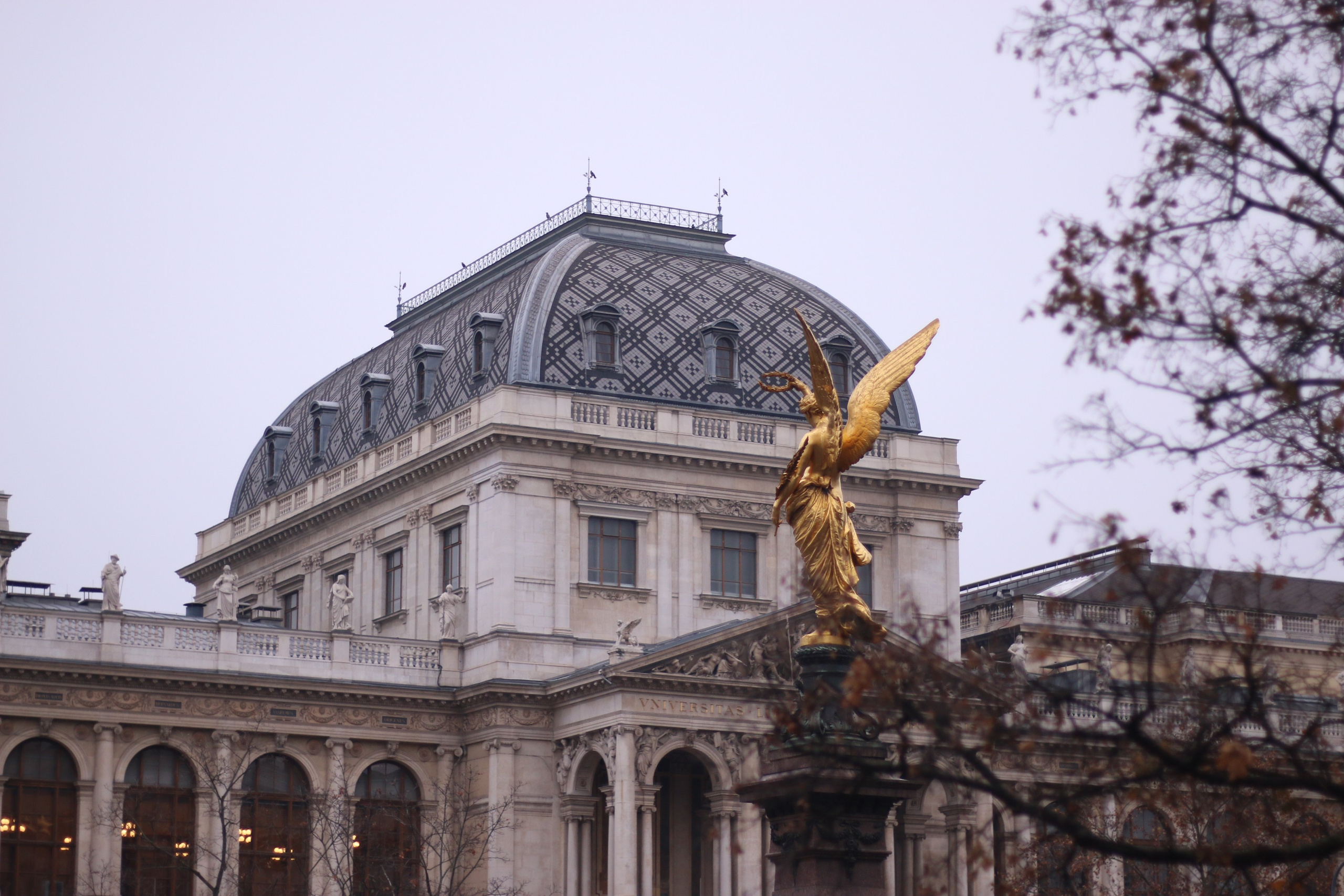 Vienna, Dec.19. Kseny Kolesnik Photography