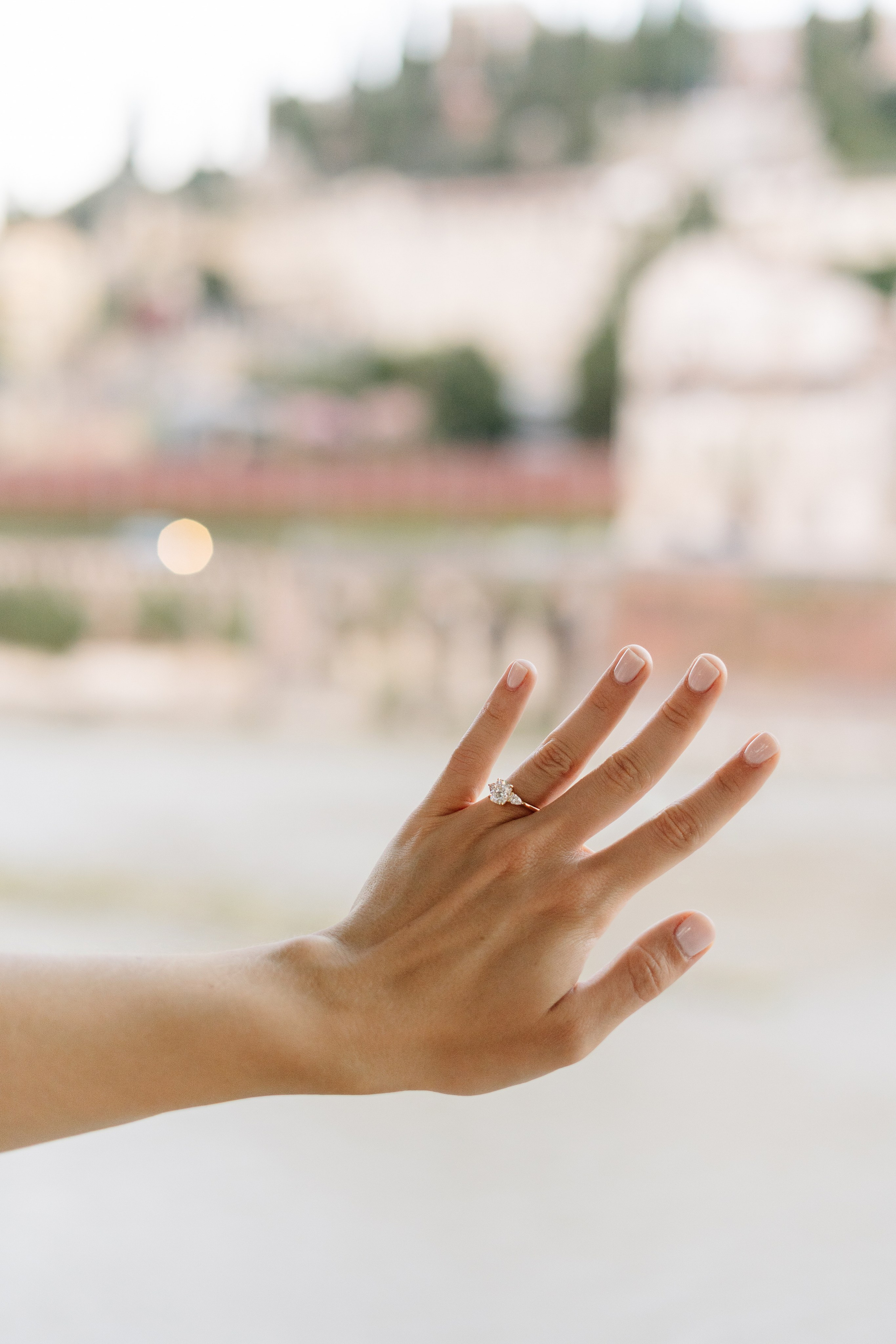 C & C (Ponte Pietra, Verona, Italy). Marriage Proposal Photographer in Verona, Lake Garda and Dolomites| Diana Fedrigo