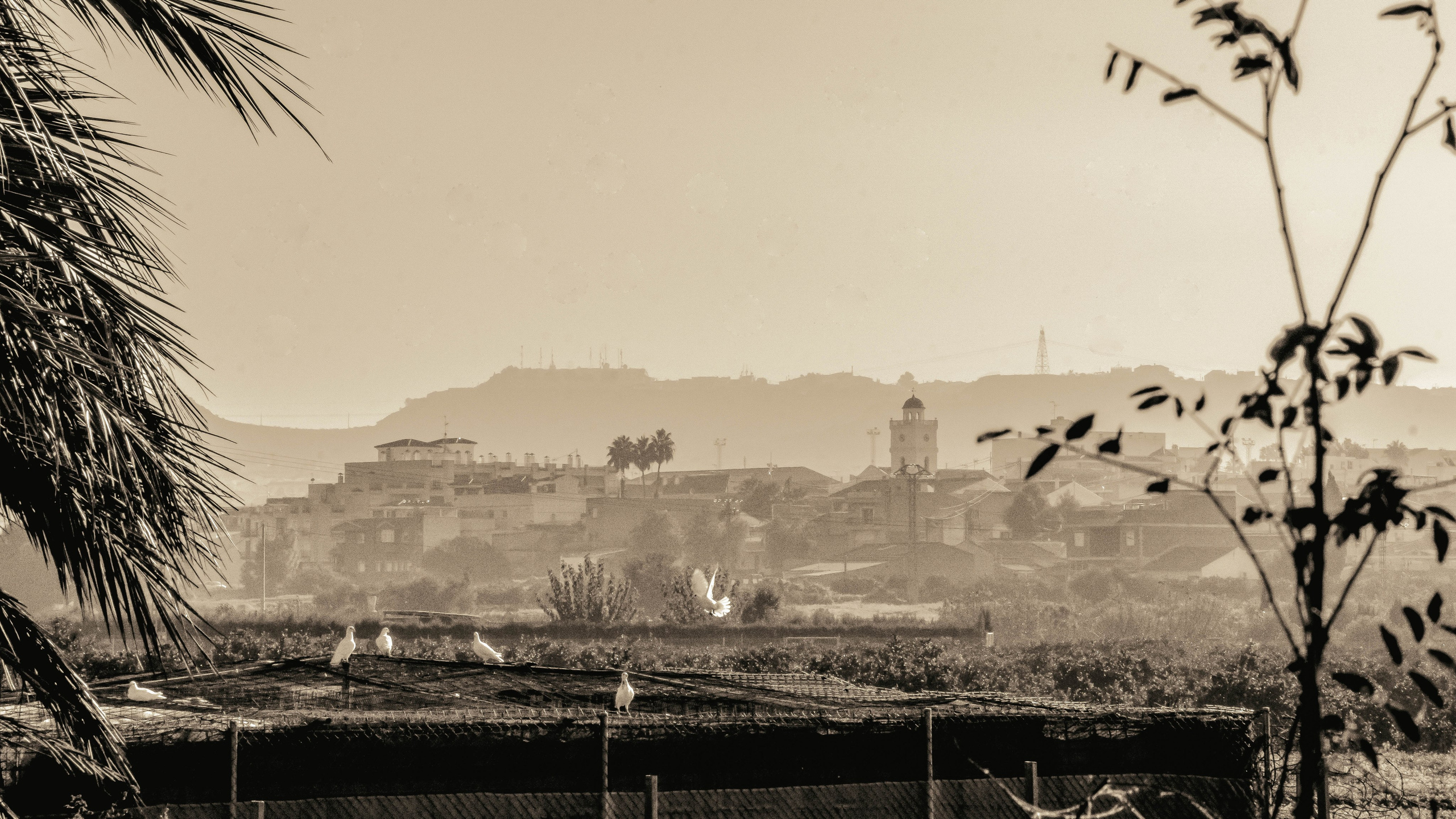 Rojales. Alba del Norte Studio