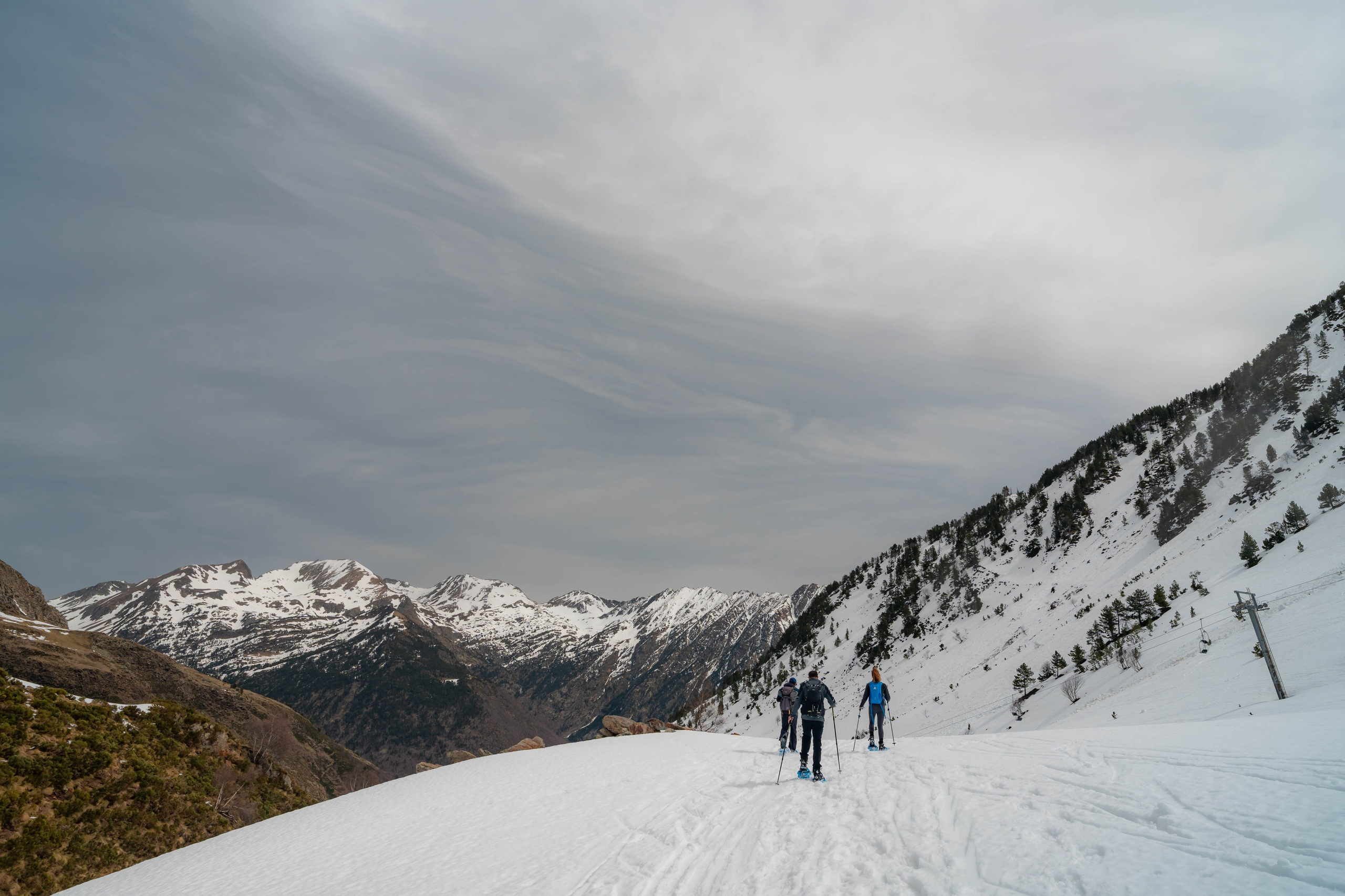 Ruta Comas de Fort. Alba del Norte Studio