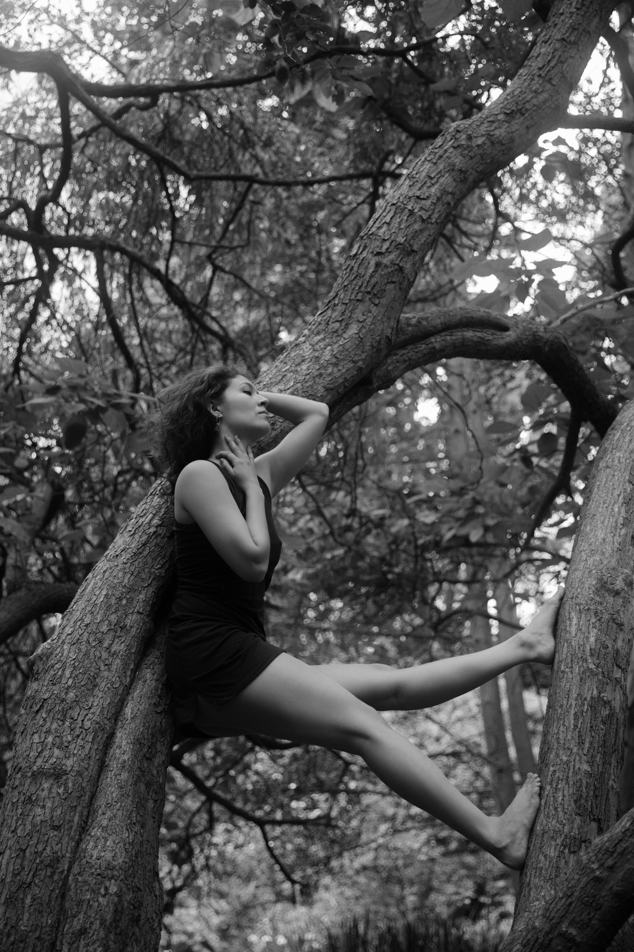Elegante Tänzerin streckt sich am Baumstamm in Berlin