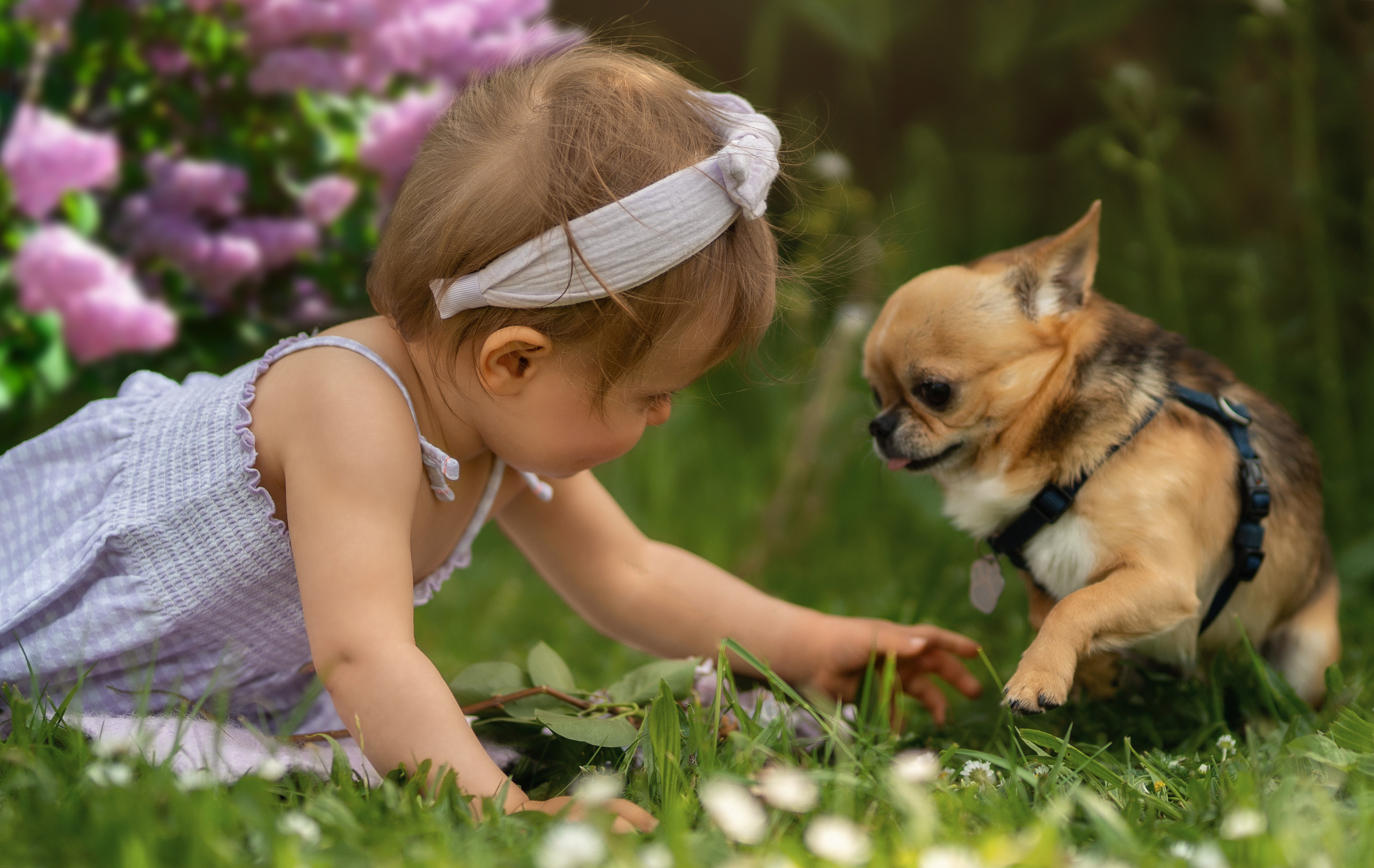 Kinder. Familien und Kinder Fotografin in Norderstedt, Kaltenkirchen