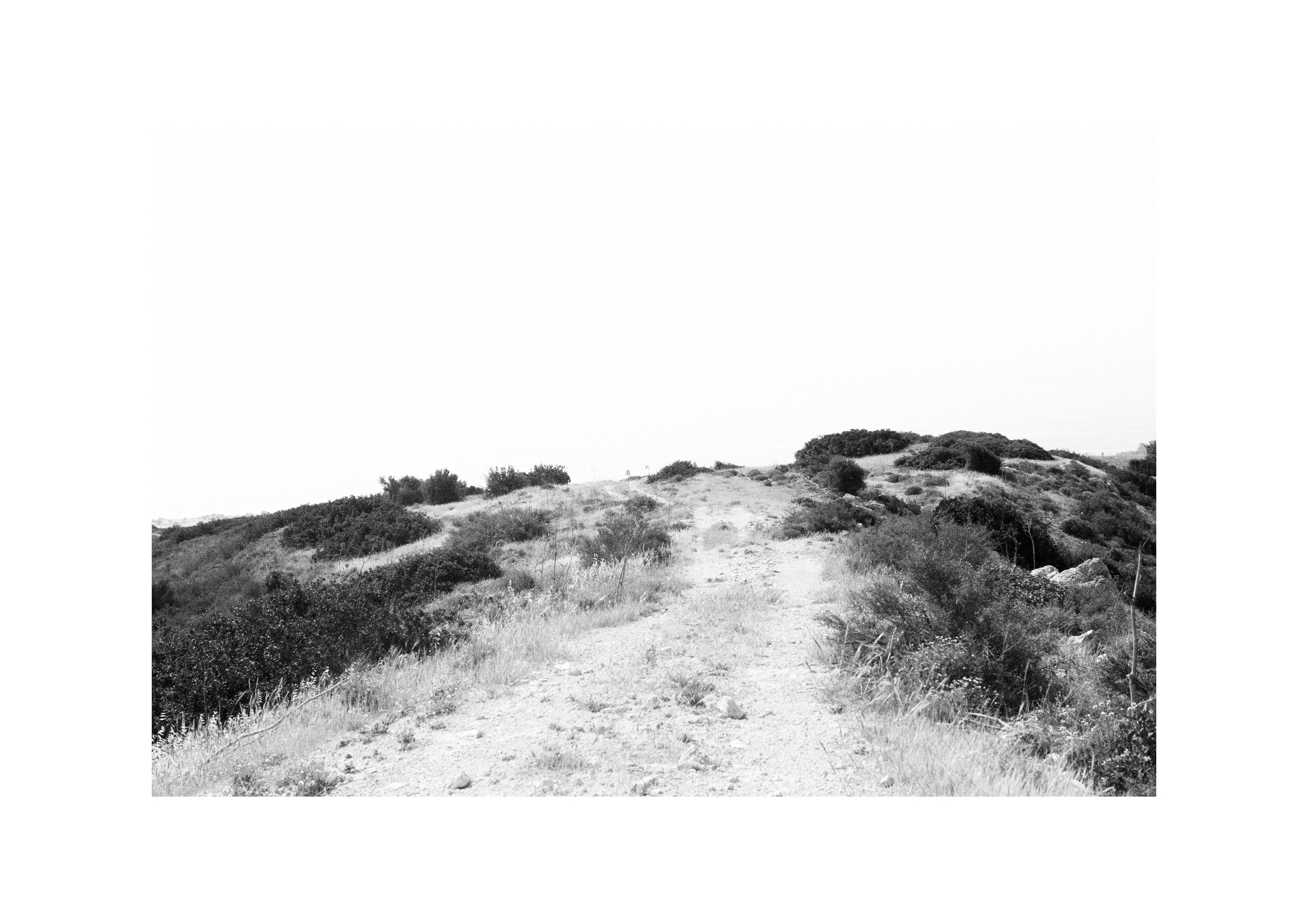 B&W. Cinema that you’ll never see