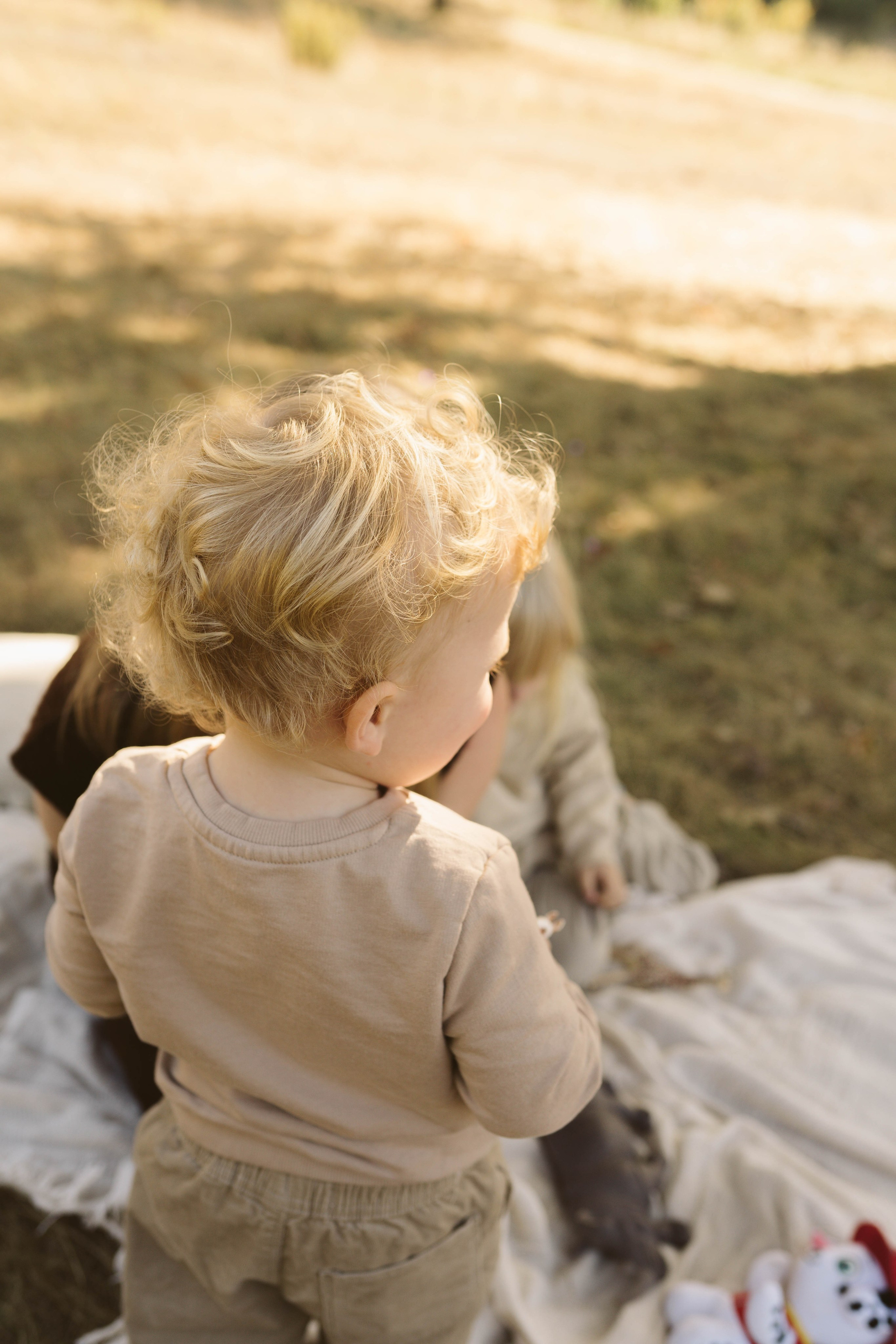 Poveste Toamna Colorata sesiune foto in natura toamna. Madalina Beda- Artist vizual, fotograf, doula la nastere, consultant babywearing Brasov si in toata tara