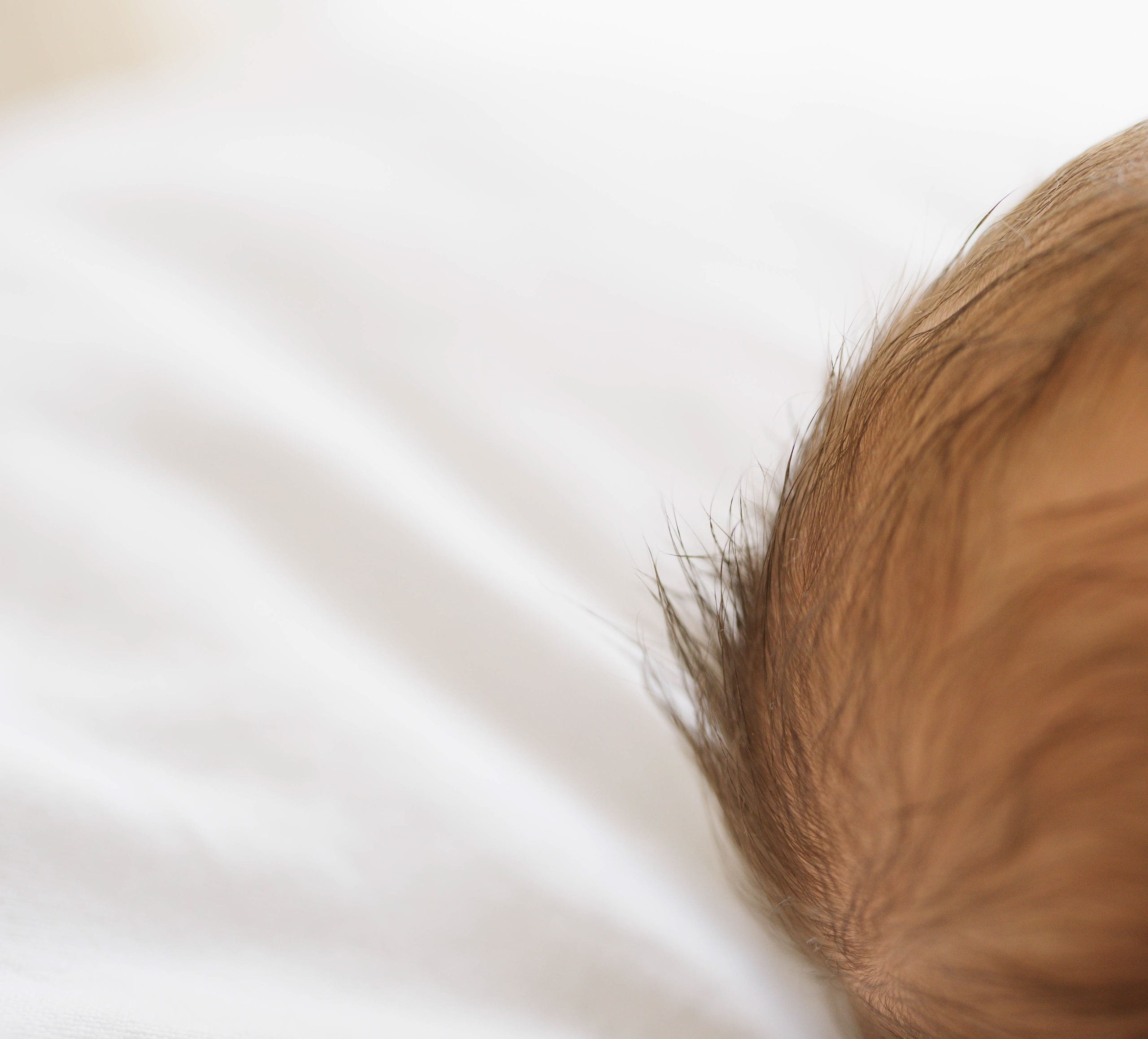 Inspira sesiune foto nou-nascut. Madalina Beda- Artist vizual, fotograf, doula la nastere, consultant babywearing Brasov si in toata tara