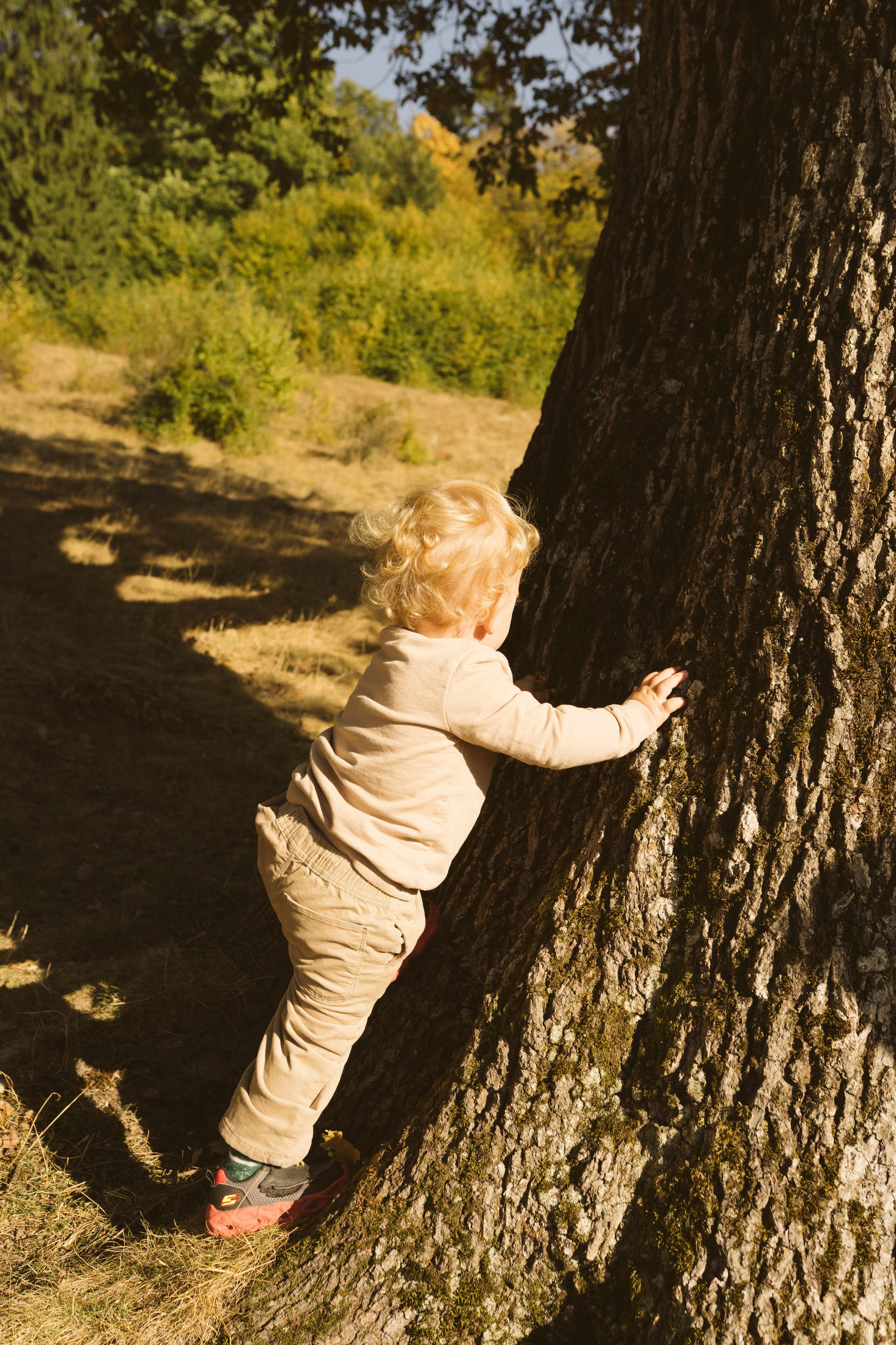 Poveste Toamna Colorata sesiune foto in natura toamna. Madalina Beda- Artist vizual, fotograf, doula la nastere, consultant babywearing Brasov si in toata tara