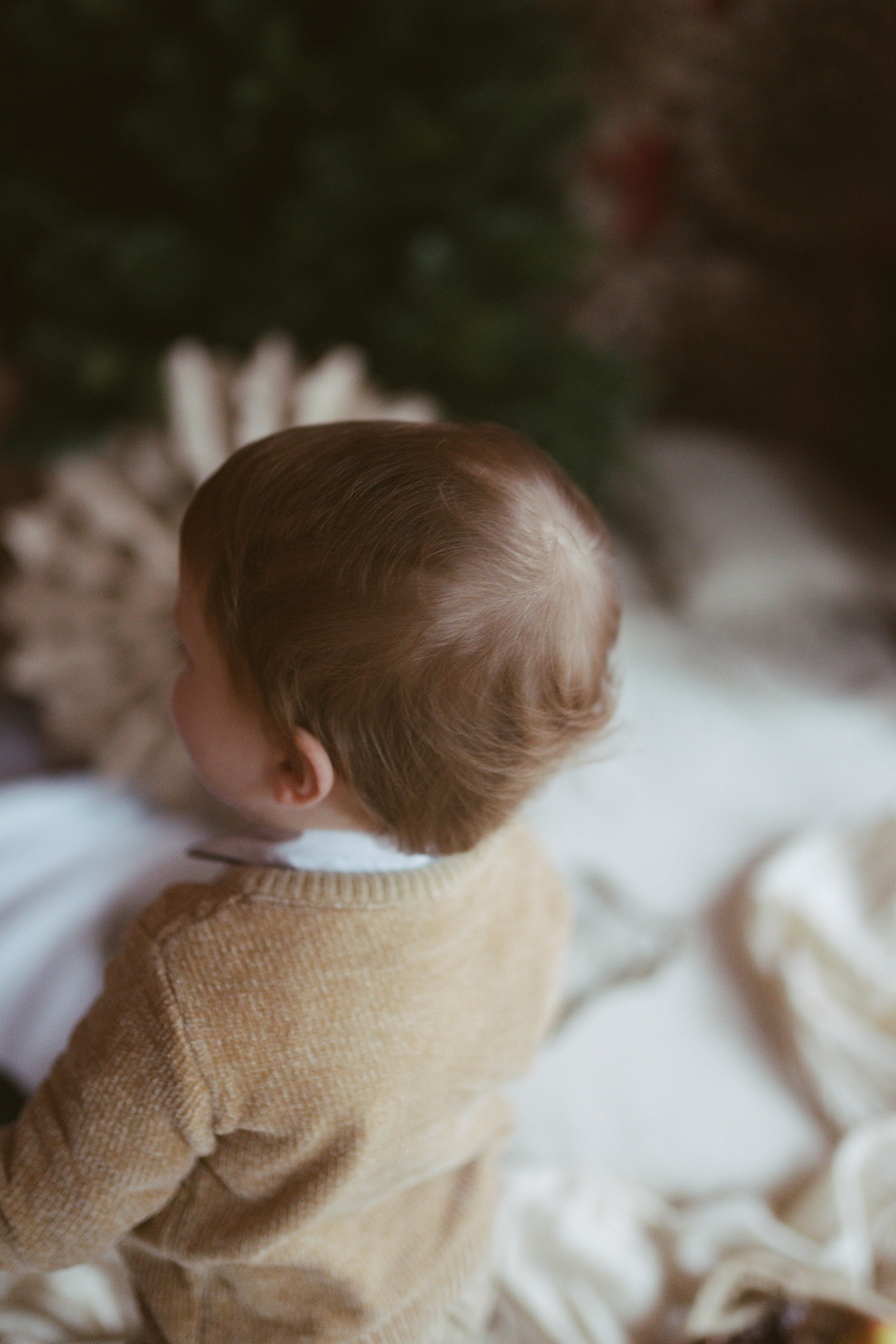 Poveste de Iarna Sesiune foto. Madalina Beda- Artist vizual, fotograf, doula la nastere, consultant babywearing Brasov si in toata tara