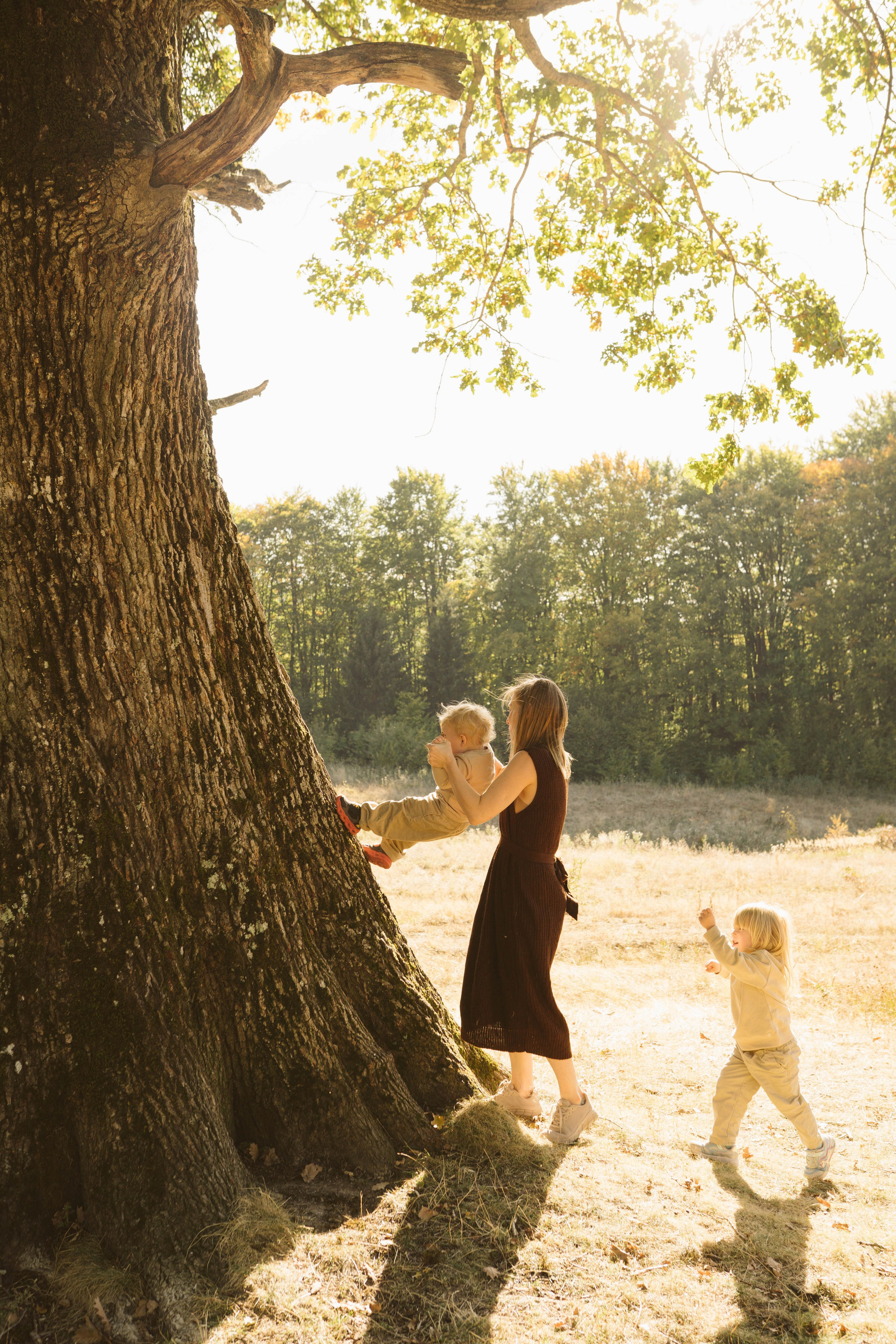 Poveste Toamna Colorata sesiune foto in natura toamna. Madalina Beda- Artist vizual, fotograf, doula la nastere, consultant babywearing Brasov si in toata tara