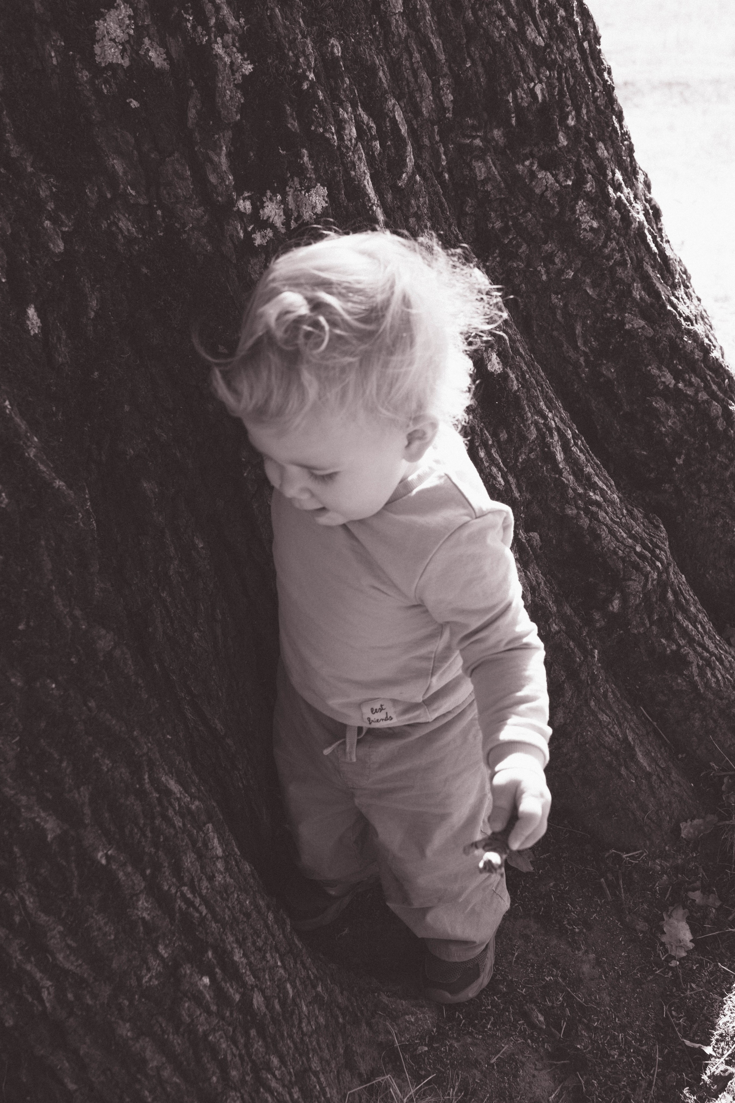 Poveste Toamna Colorata sesiune foto in natura toamna. Madalina Beda- Artist vizual, fotograf, doula la nastere, consultant babywearing Brasov si in toata tara