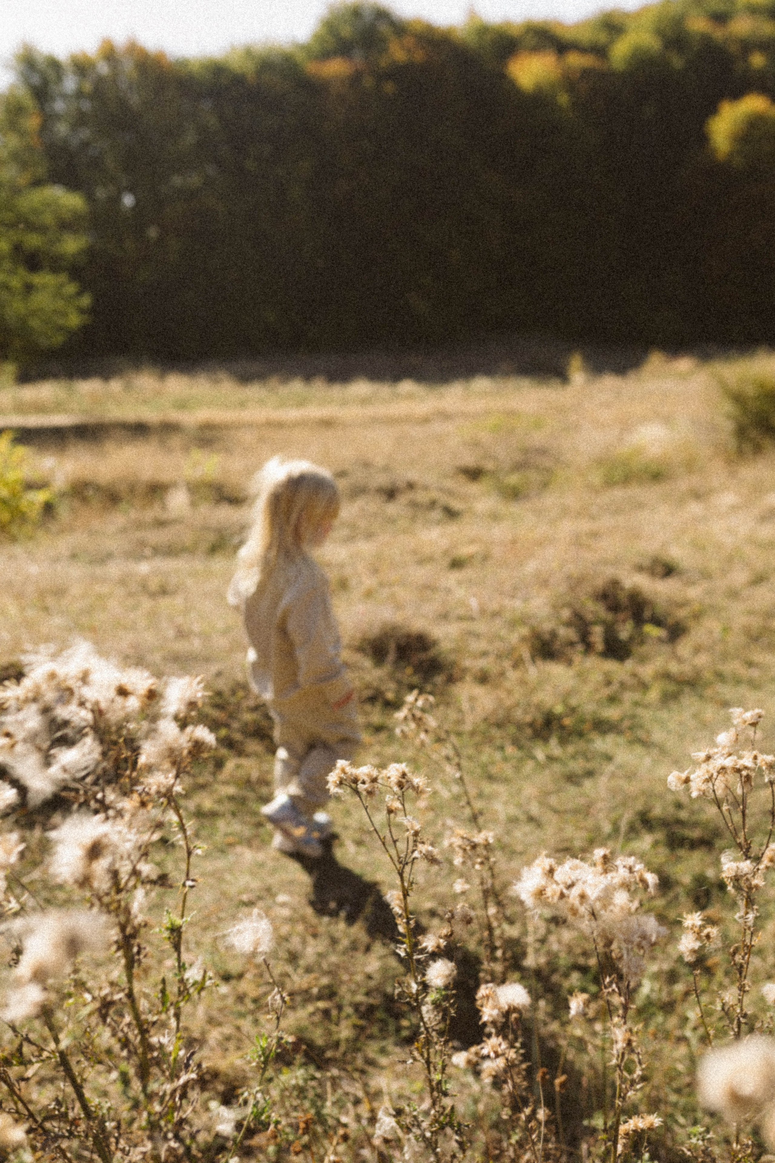 Poveste Toamna Colorata sesiune foto in natura toamna. Madalina Beda- Artist vizual, fotograf, doula la nastere, consultant babywearing Brasov si in toata tara