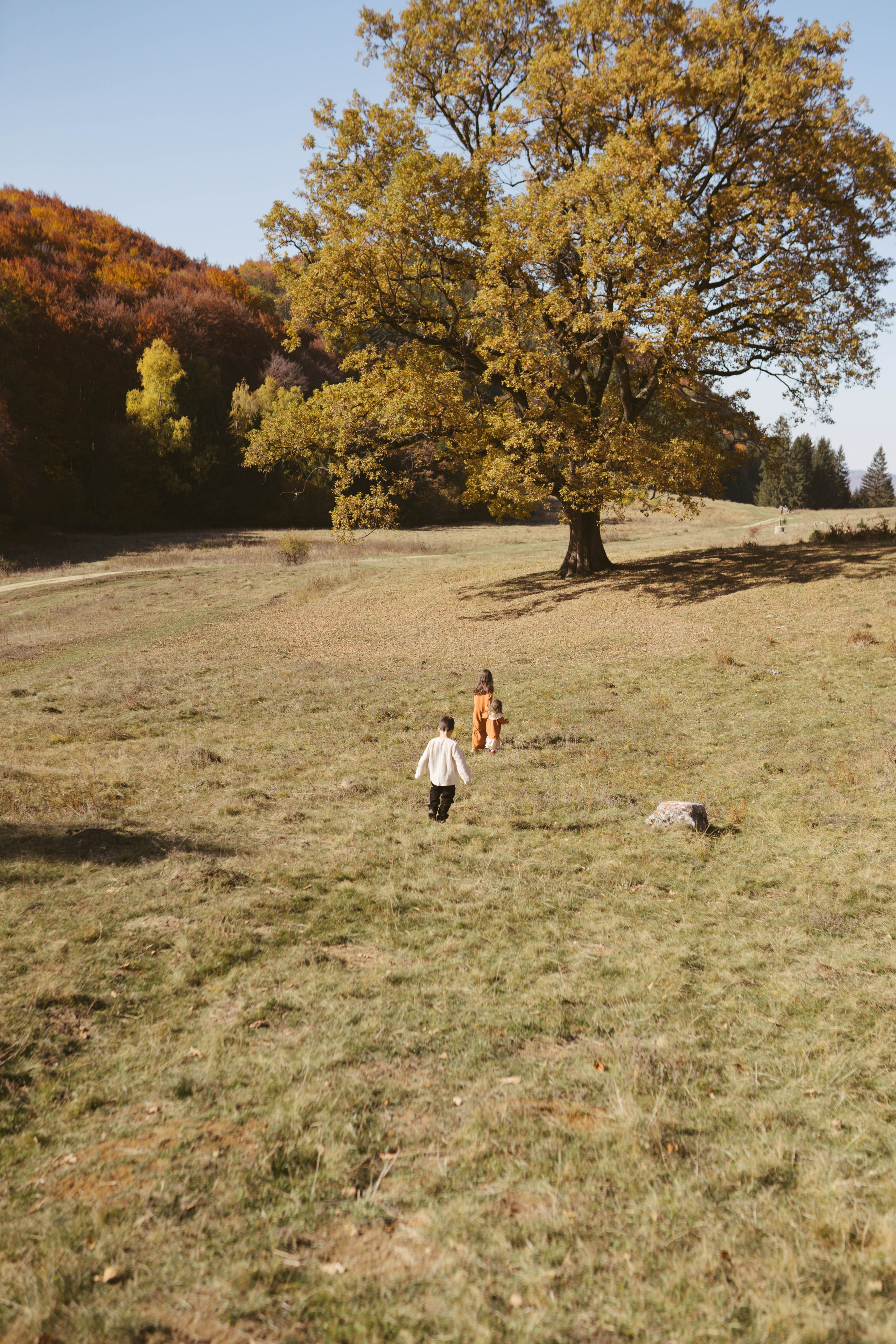 Poveste Toamna Colorata sesiune foto in natura toamna. Madalina Beda- Artist vizual, fotograf, doula la nastere, consultant babywearing Brasov si in toata tara
