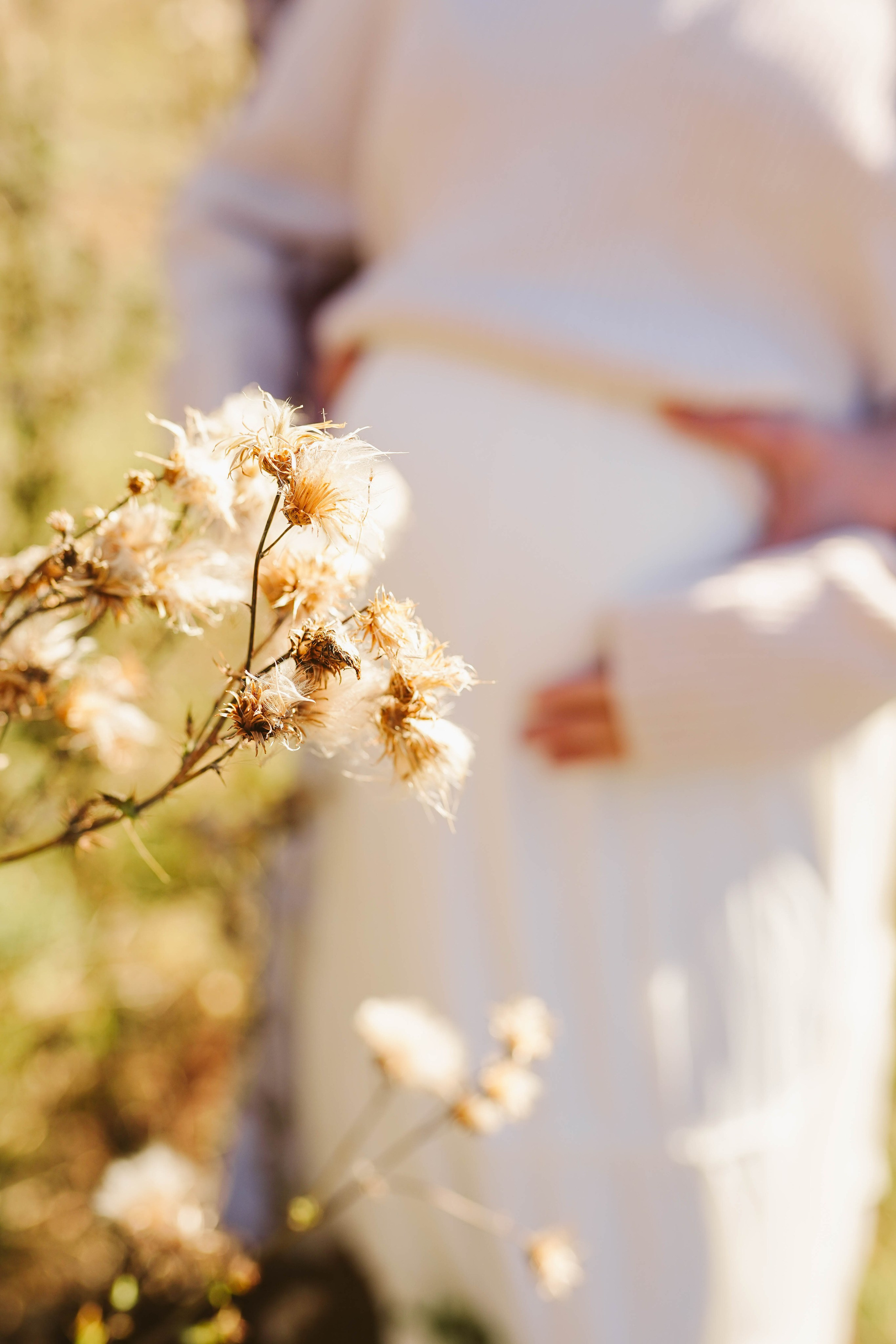 Poveste Toamna Colorata sesiune foto in natura toamna. Madalina Beda- Artist vizual, fotograf, doula la nastere, consultant babywearing Brasov si in toata tara