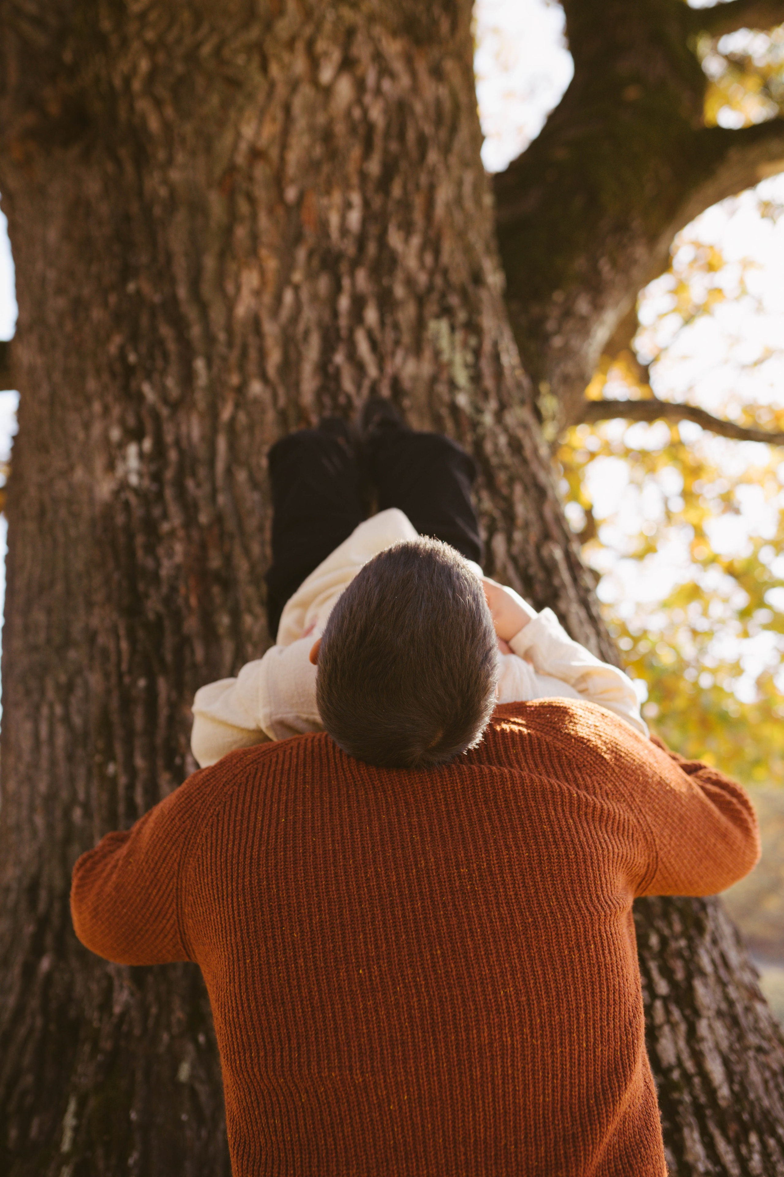 Poveste Toamna Colorata sesiune foto in natura toamna. Madalina Beda- Artist vizual, fotograf, doula la nastere, consultant babywearing Brasov si in toata tara