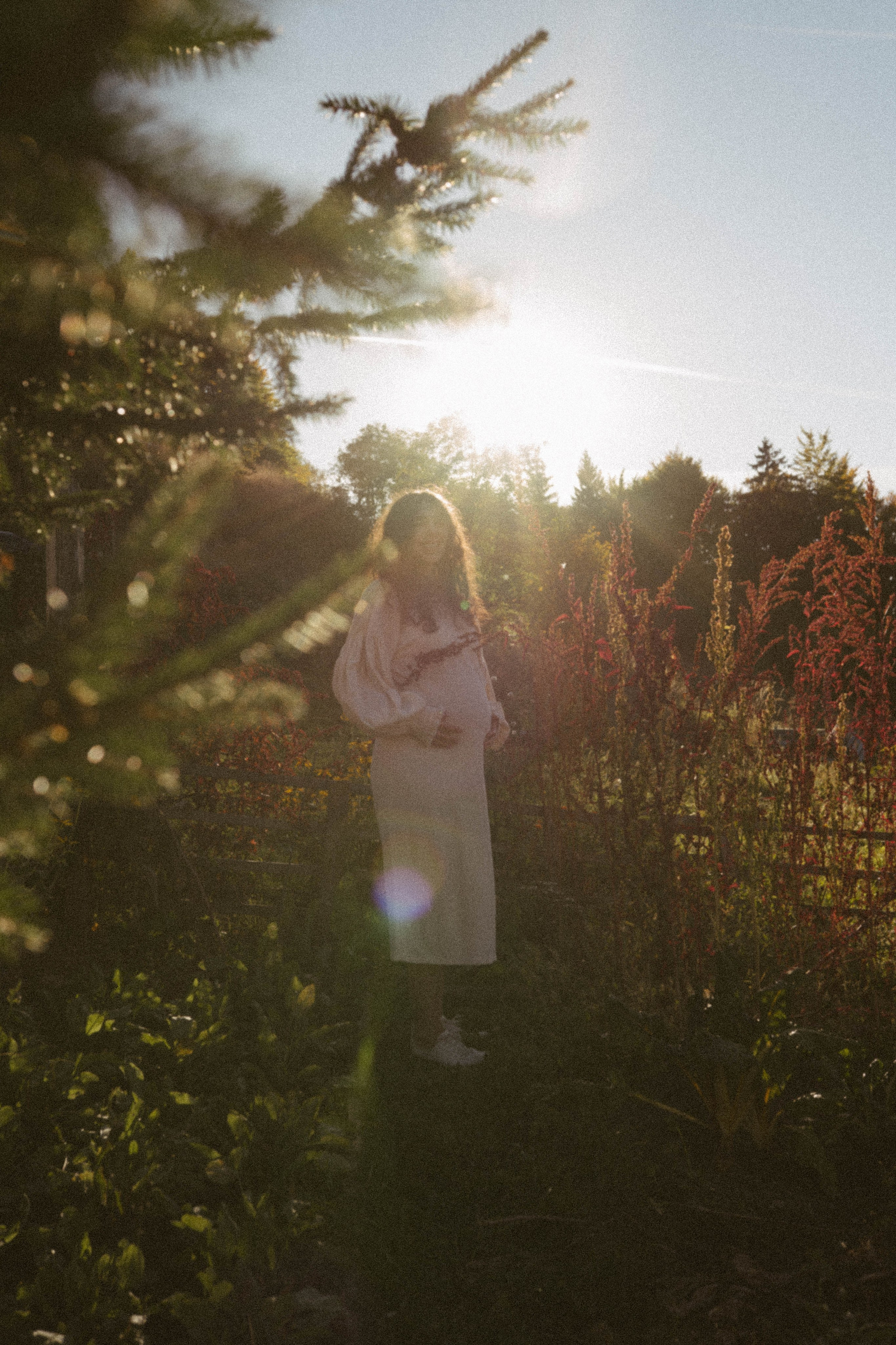 Poveste Toamna Colorata sesiune foto in natura toamna. Madalina Beda- Artist vizual, fotograf, doula la nastere, consultant babywearing Brasov si in toata tara